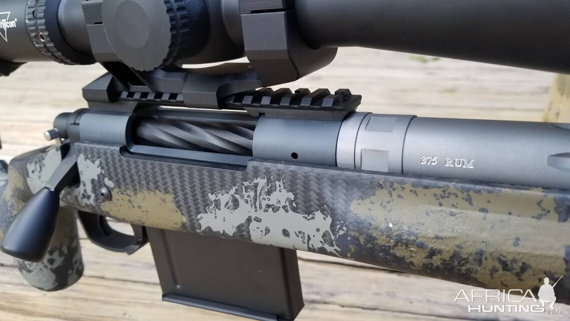 375 REM 700 Overwatch Rifle