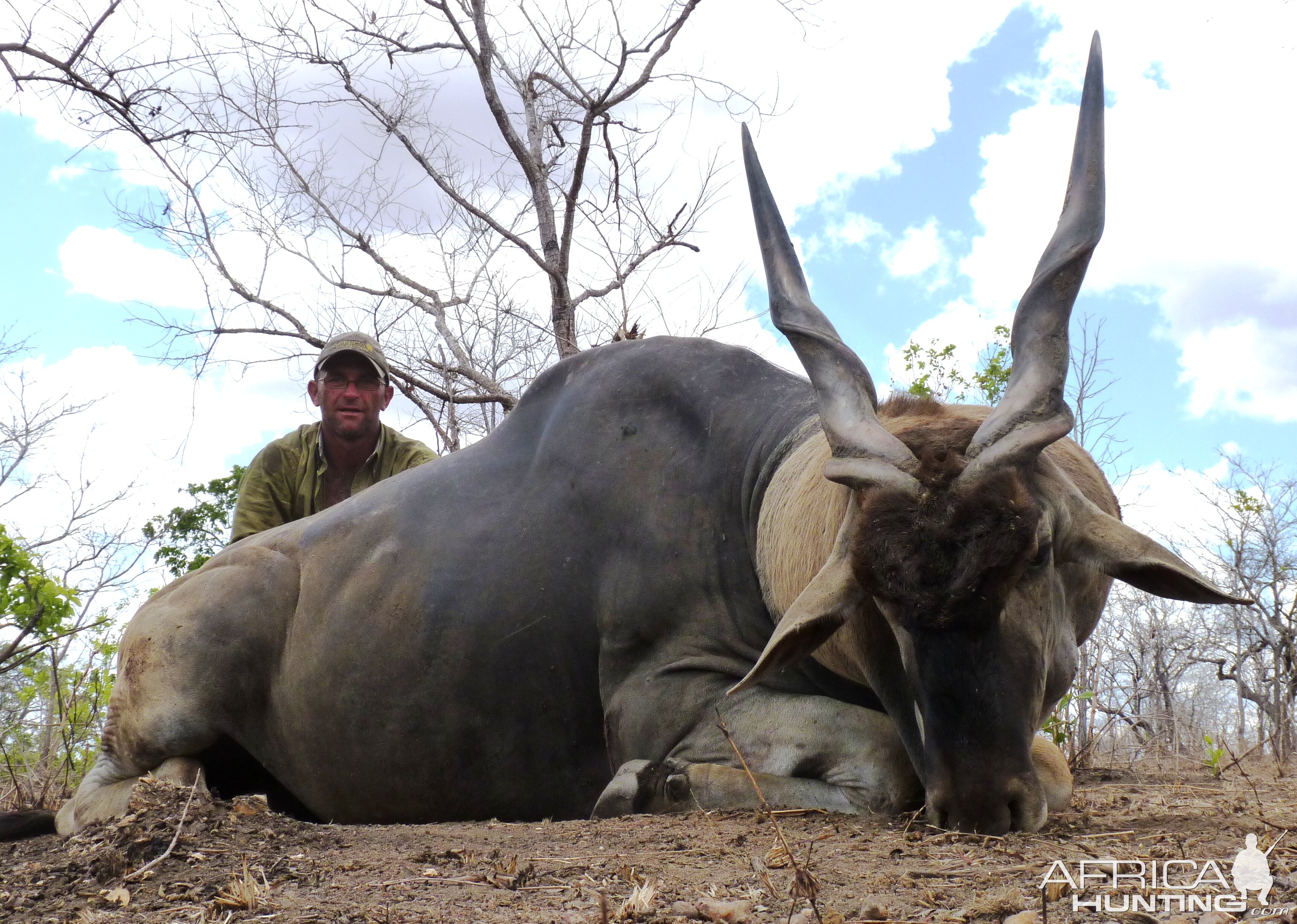 38'' east african Eland