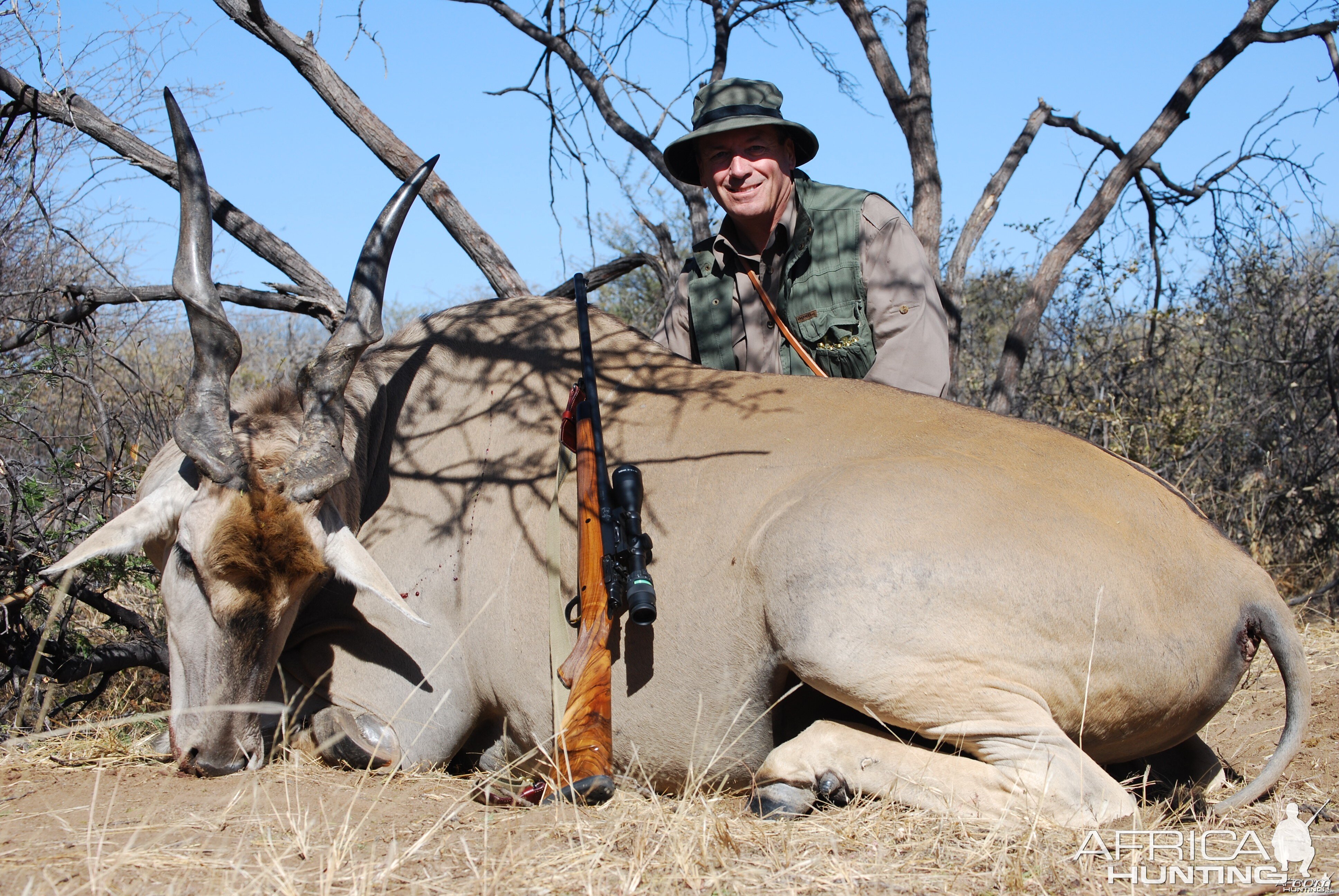 38" Eland - Eden Namibia