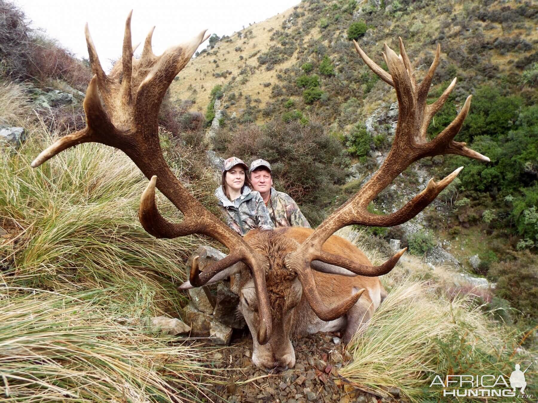 388" Inch Red Stag Hunting New Zealand