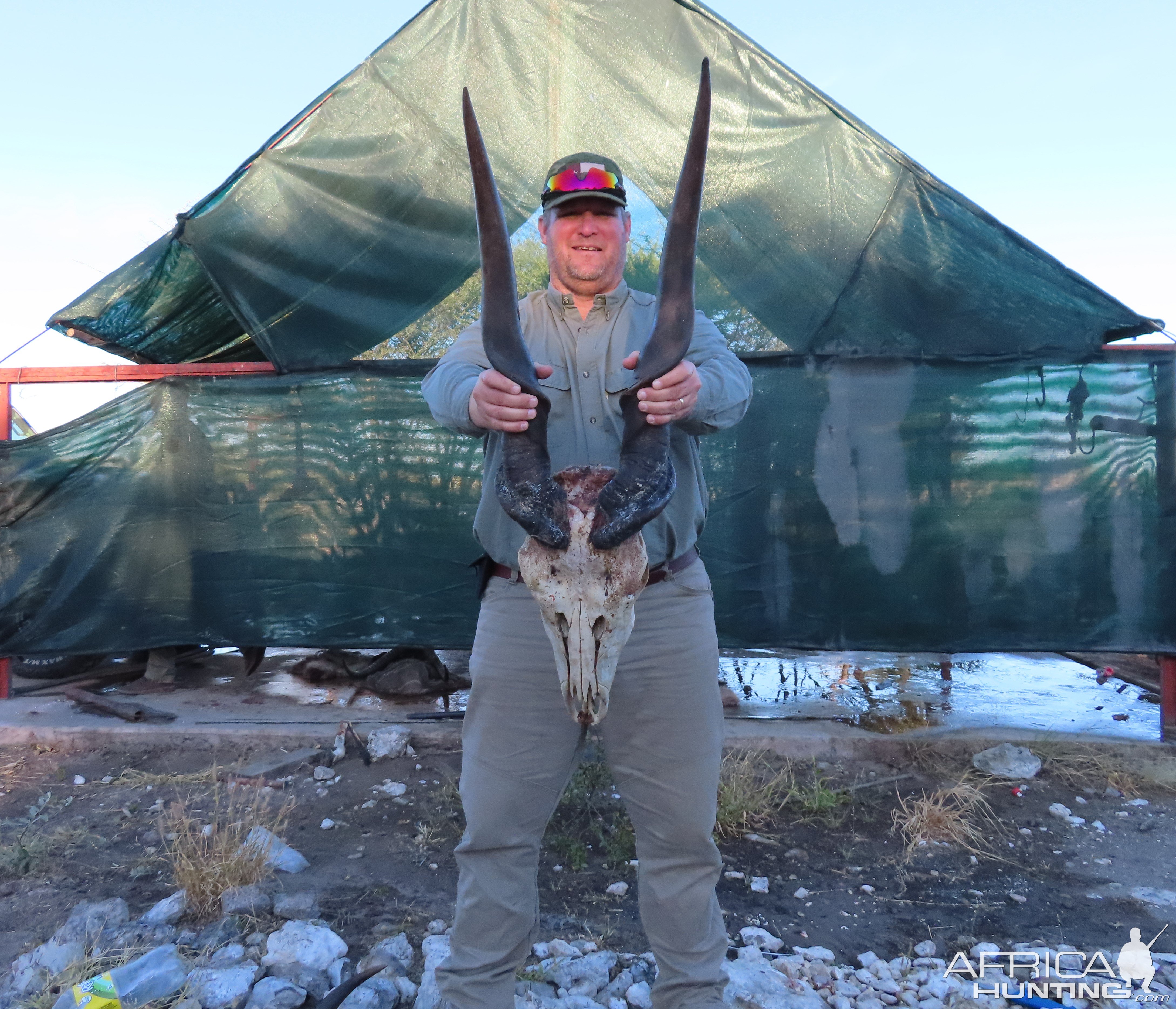 39 Inch Eland Hunt Botswana