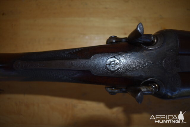 4-bore Rodda Double Rifle