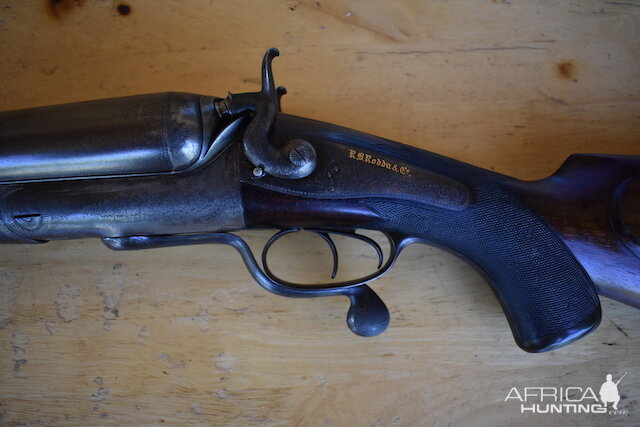 4-bore Rodda Double Rifle