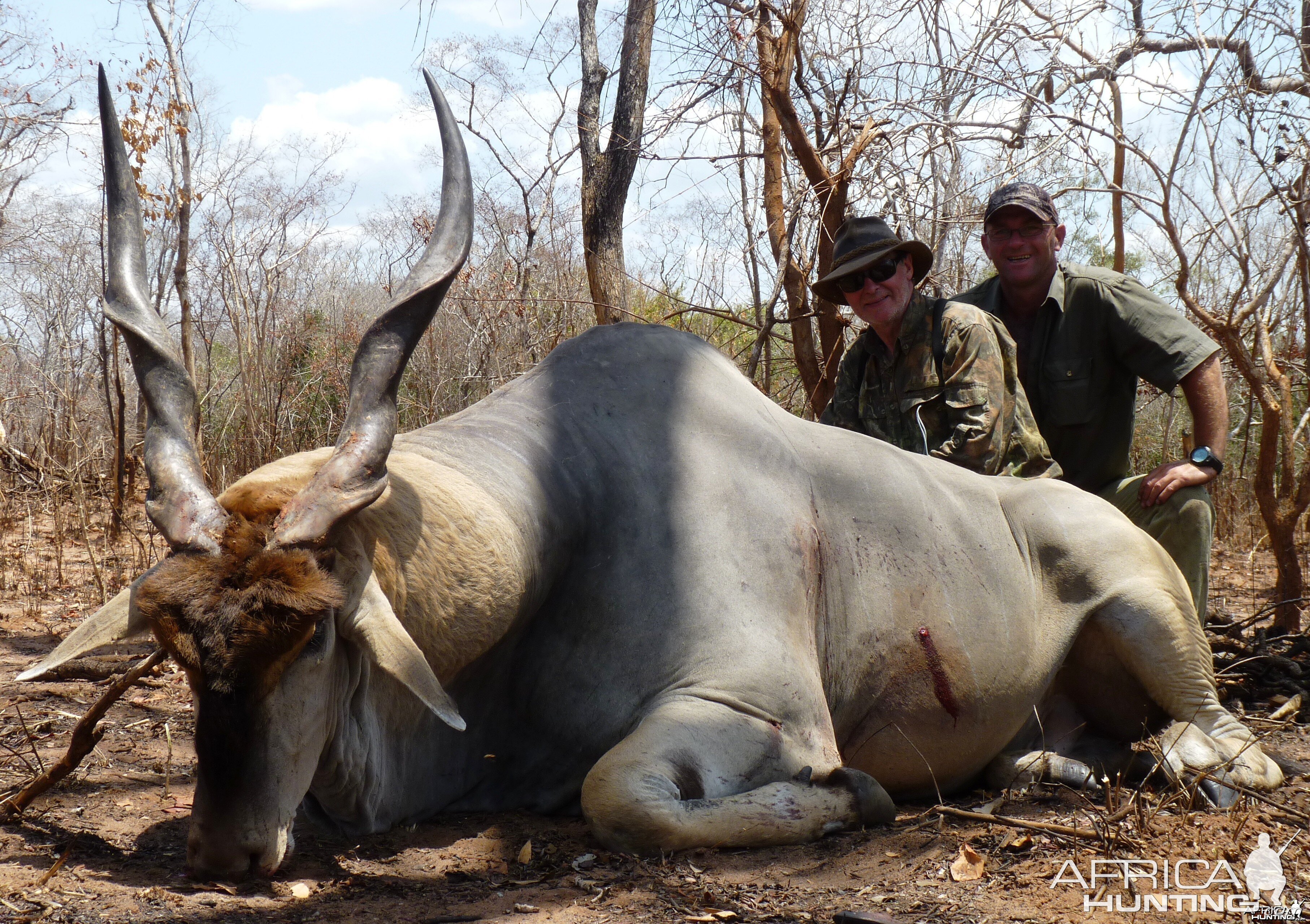 40 1/2'' east african Eland. Selous, Tanzania