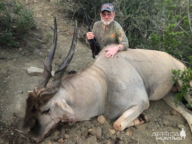 40" Eland. RSA Eastern Cape 2019