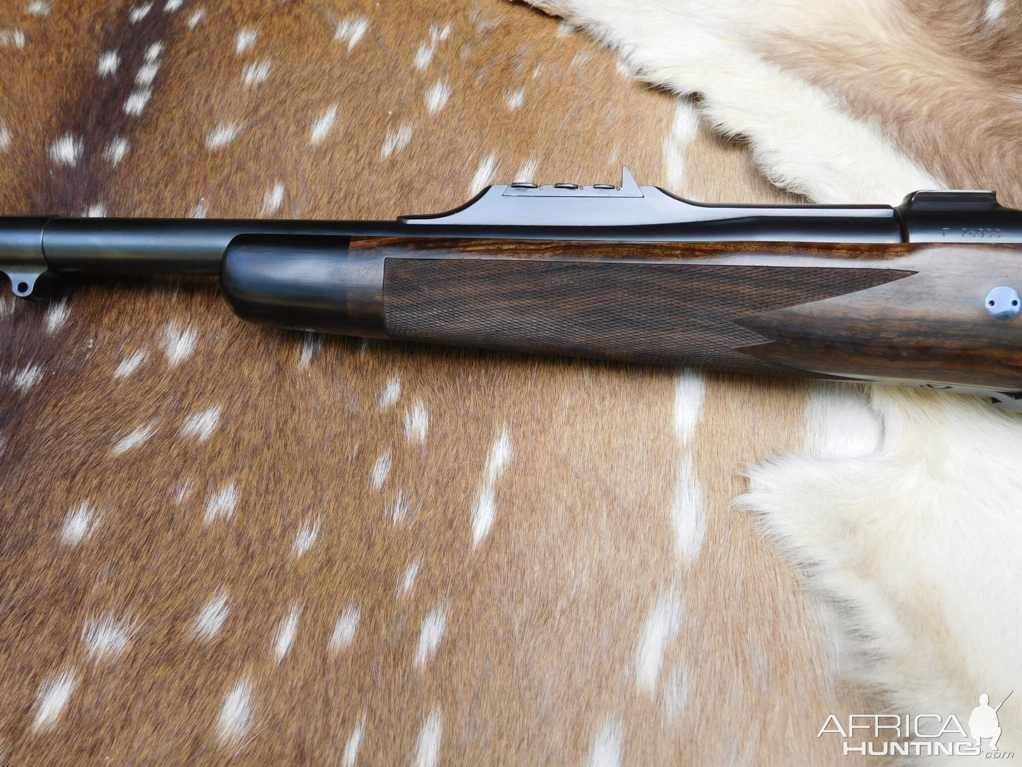 404 Jeffery custom 98 Mauser