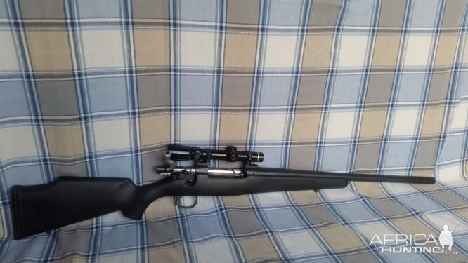 .416 Remington Magnum