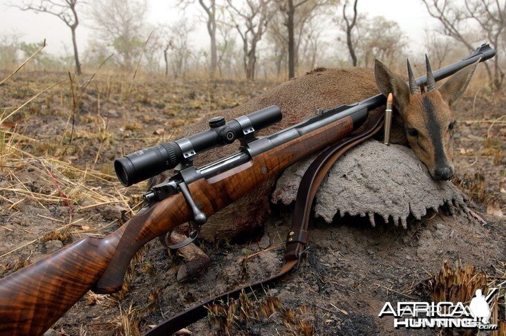 .416 Rigby