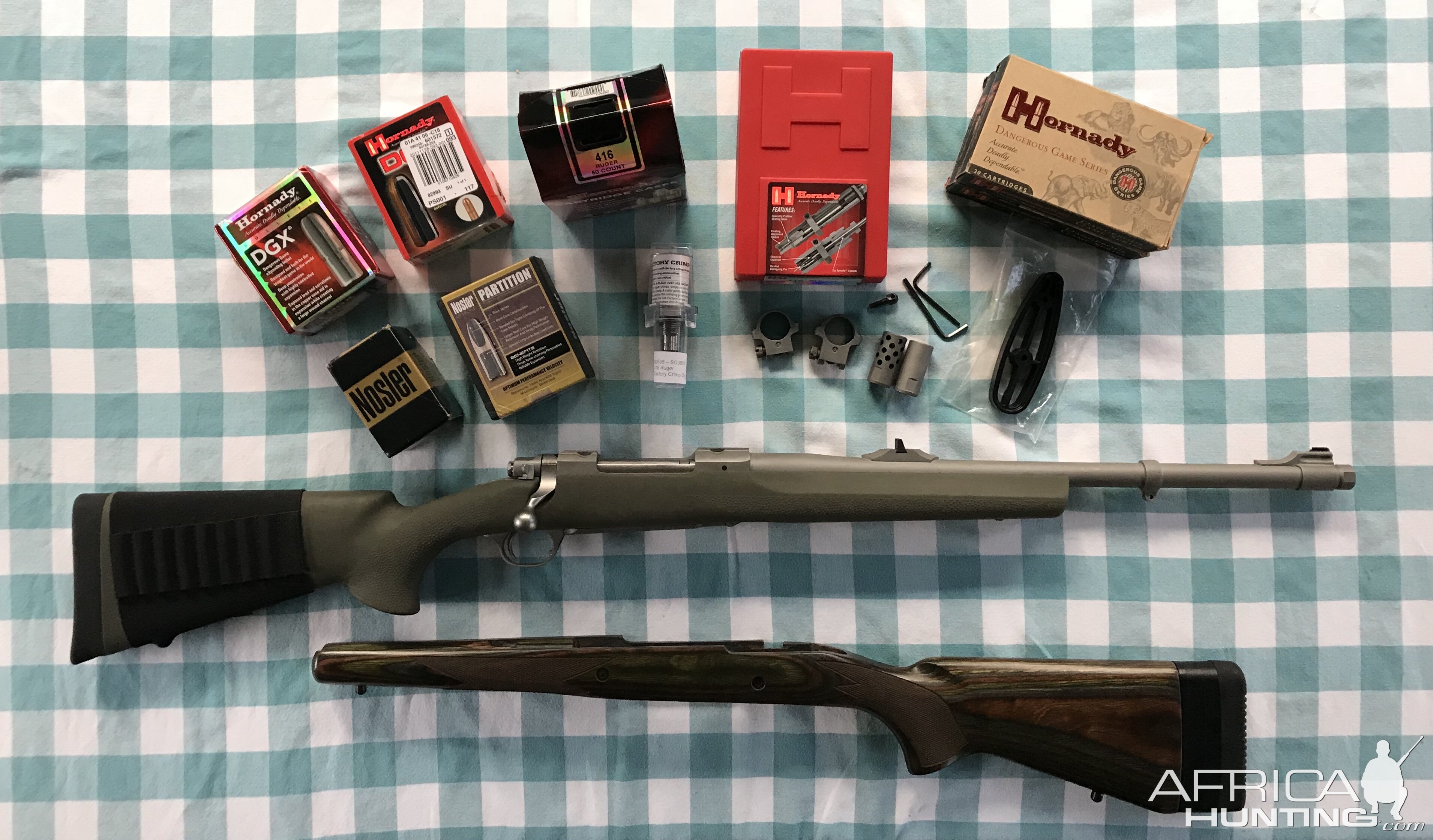 .416 Ruger Guide Gun