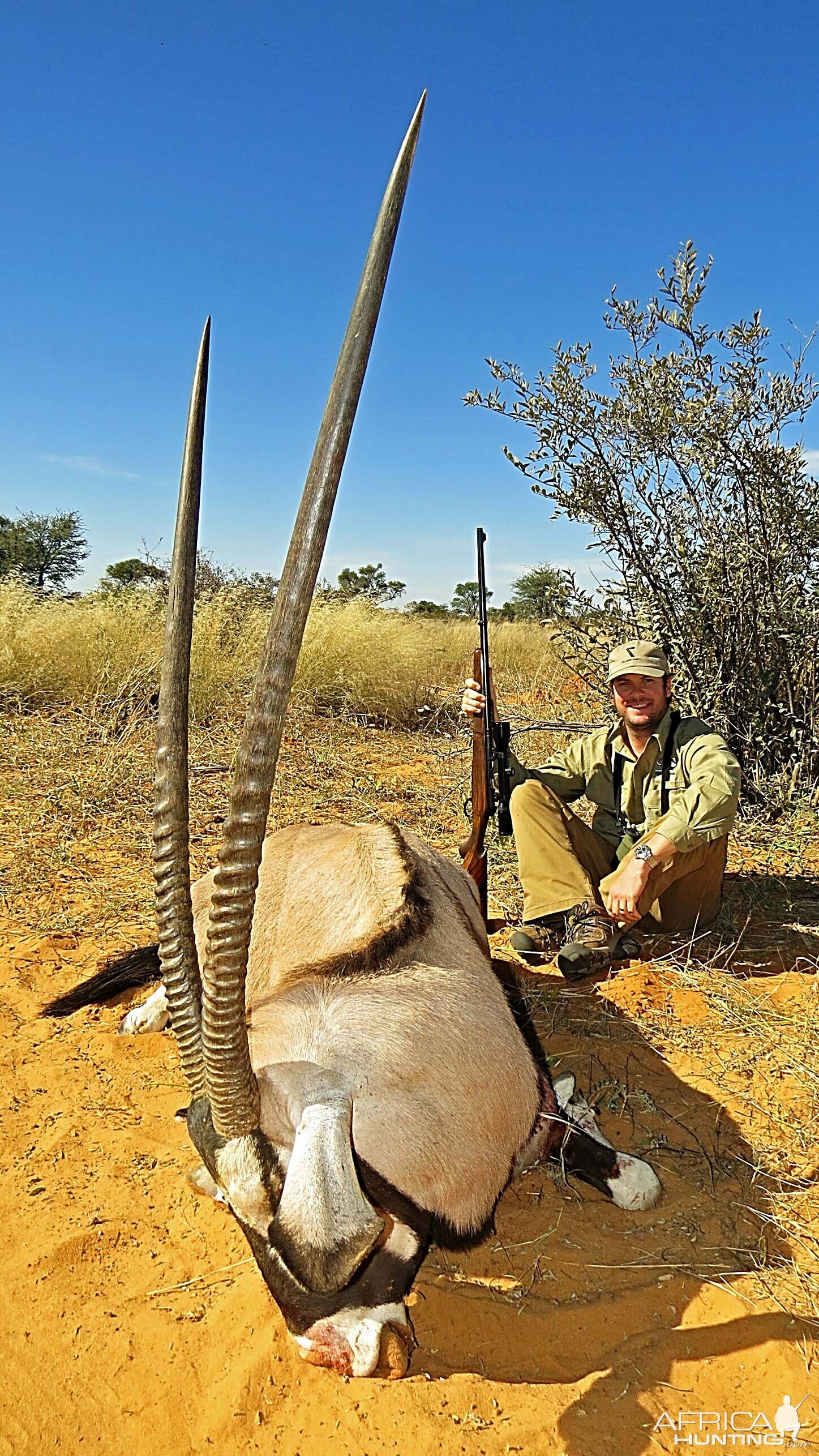 43,7/8" Gemsbok Bull