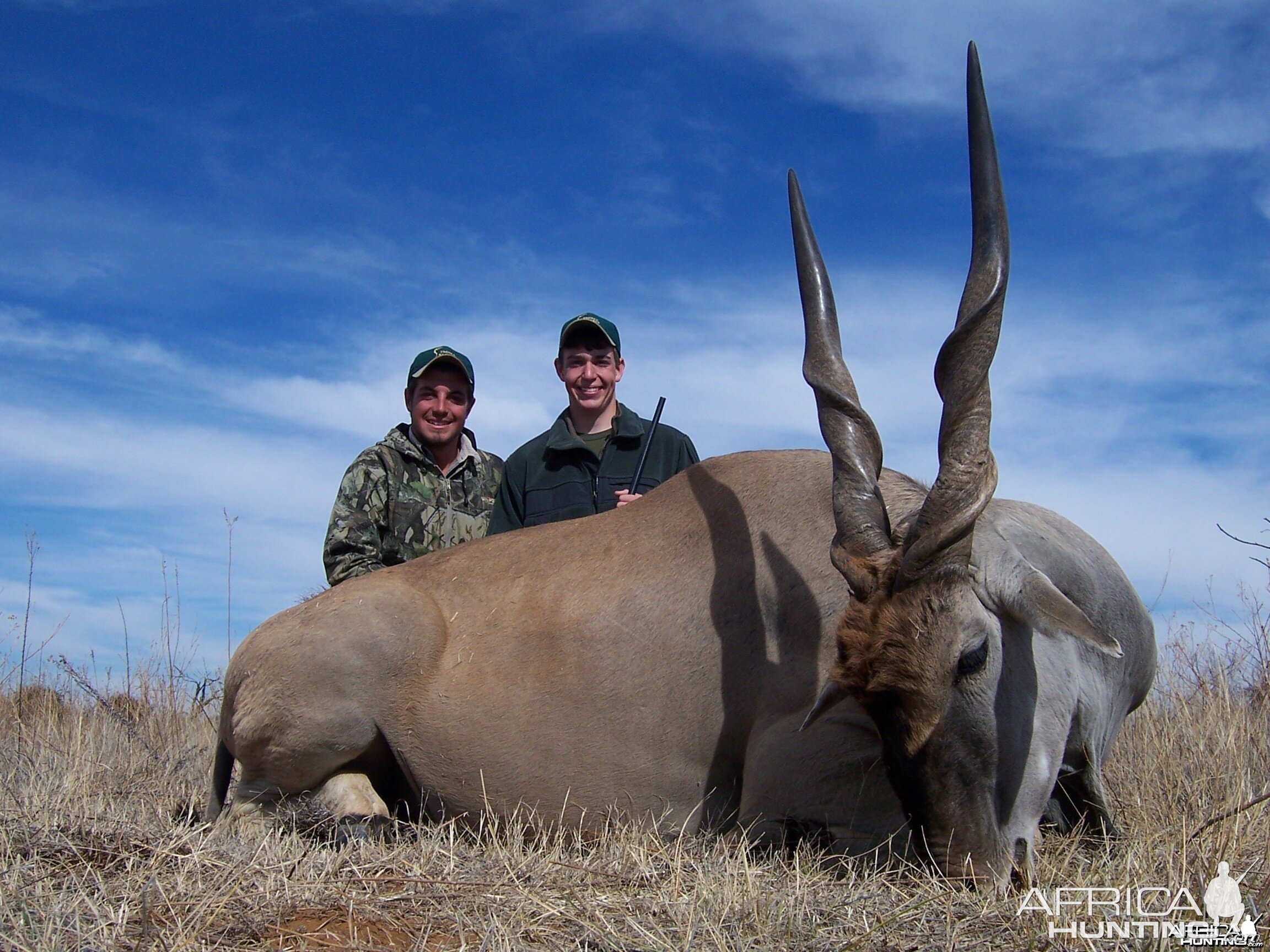 43 and a half inch Eland