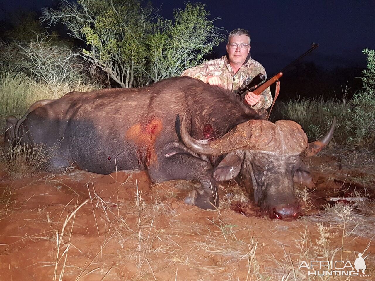 43 Inch Buffalo Hunt South Africa