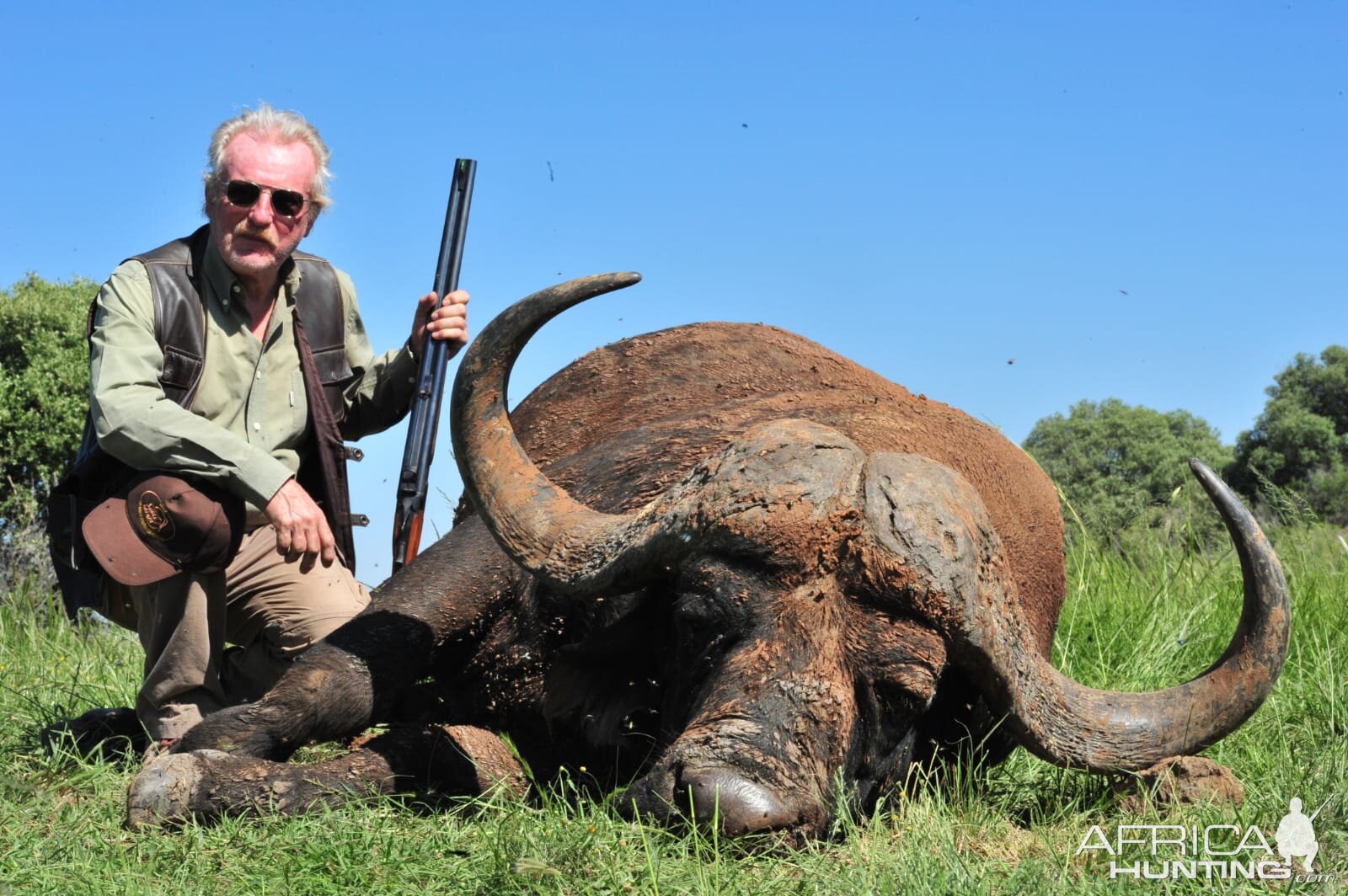 43" Inch Cape Buffalo Hunt South Africa