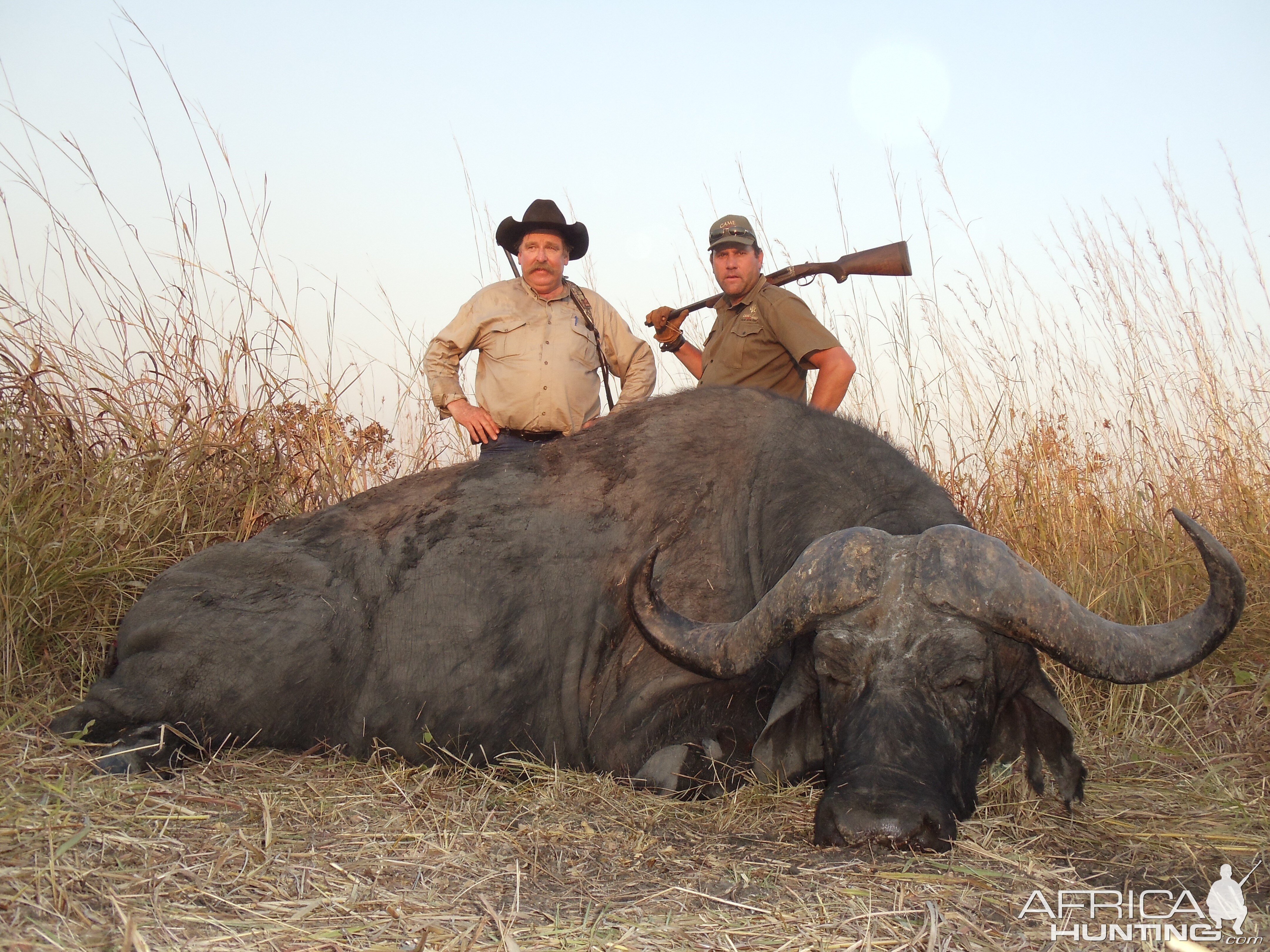 44" Buffalo Tanzania