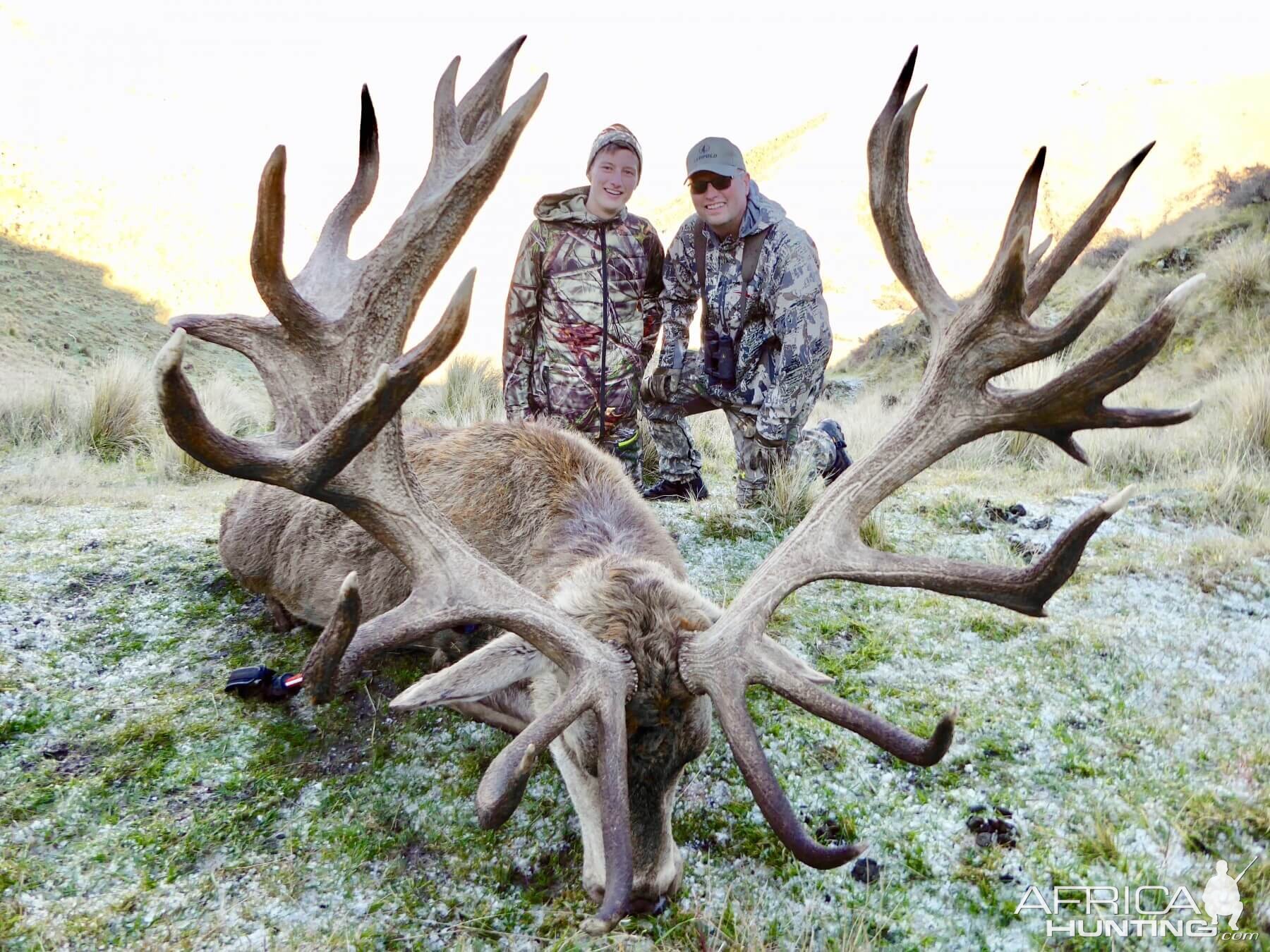 440" Inch Red Stag Hunting New Zealand