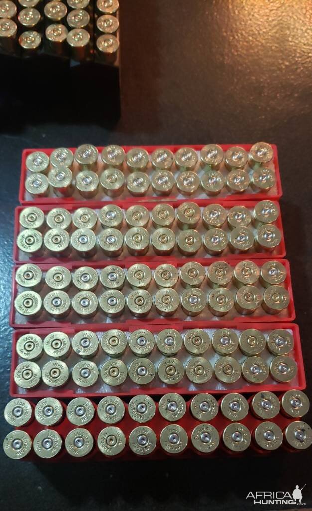 45-70 Gov't Brass