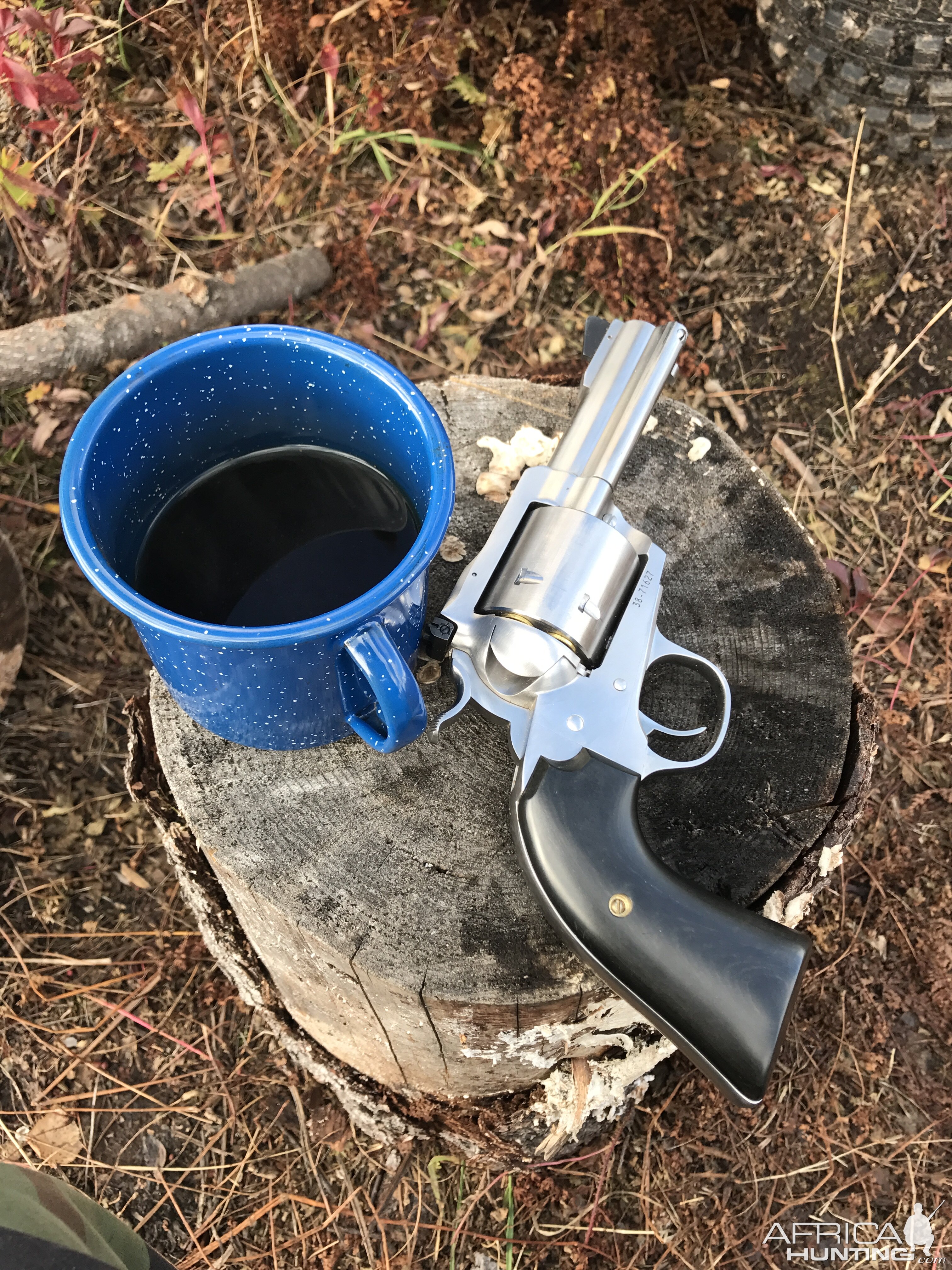 45 Colt, Ruger Bisley Revolver with 3.75" barrel