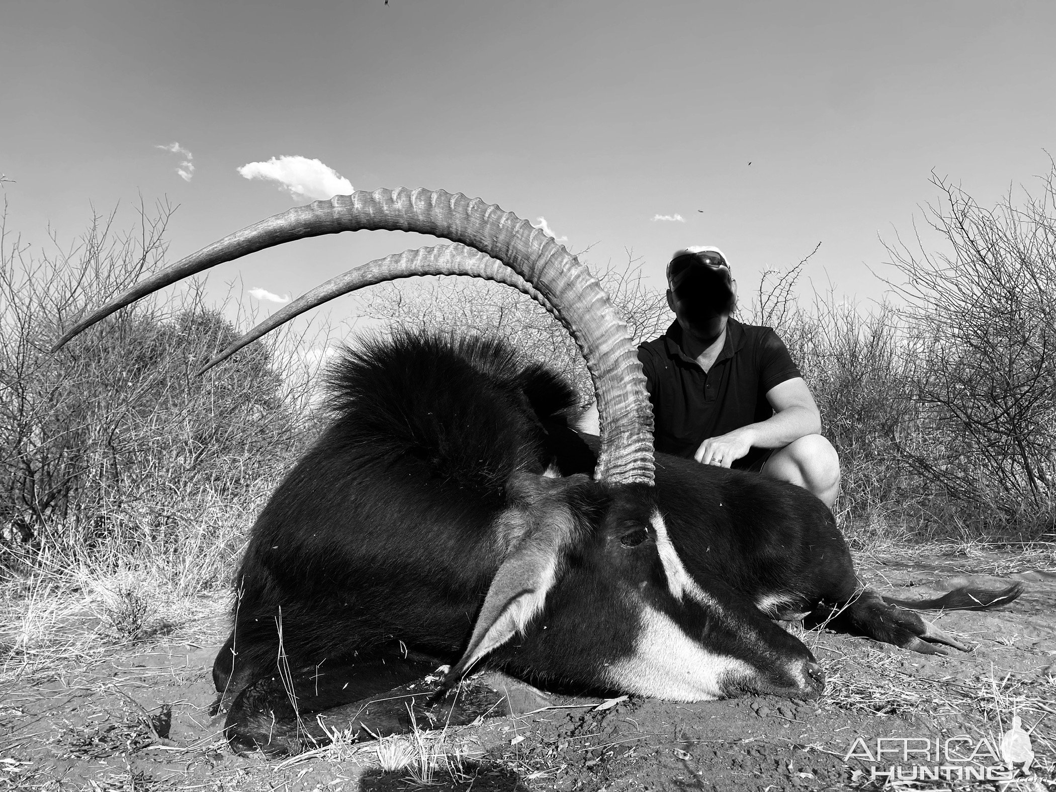 45 Inch Sable Hunt South Africa