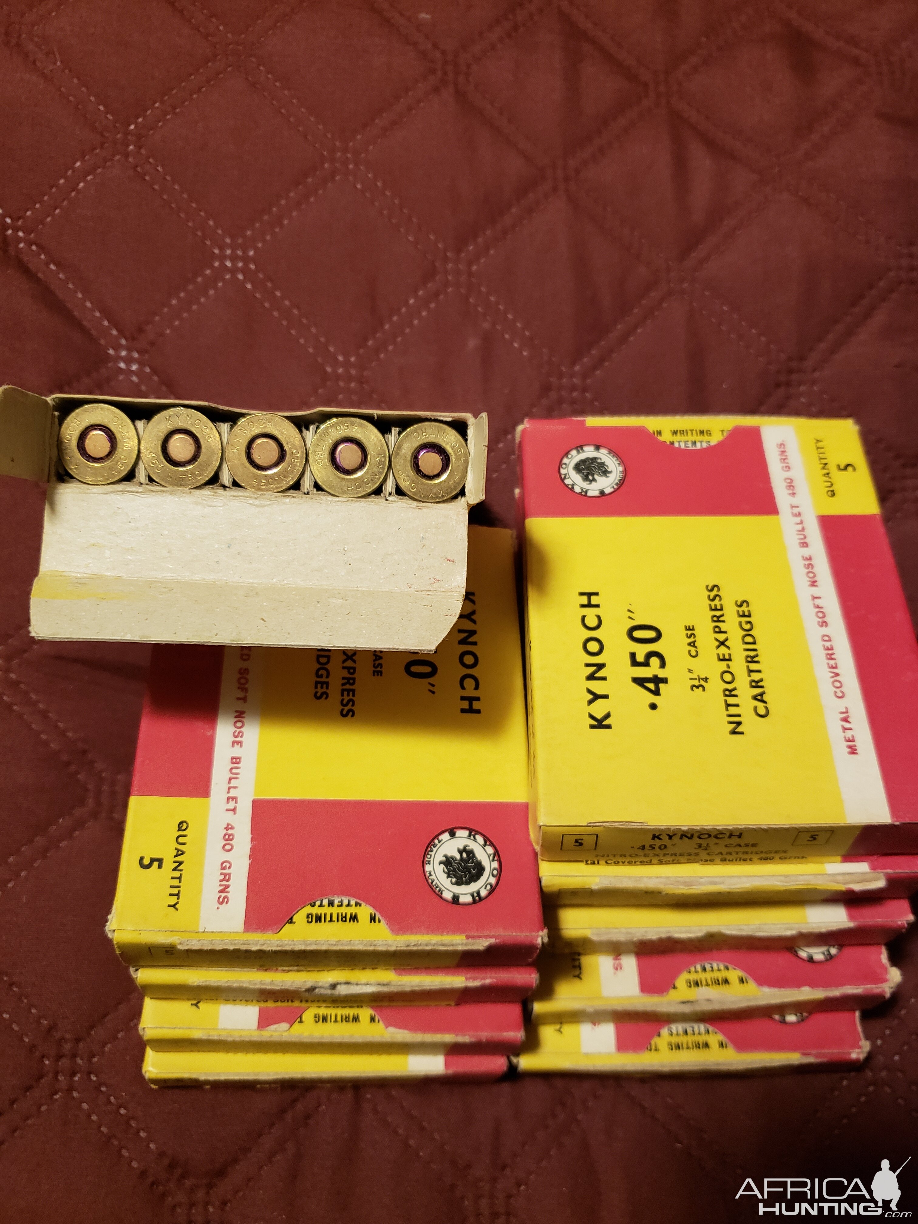 450NE 480g Ammo