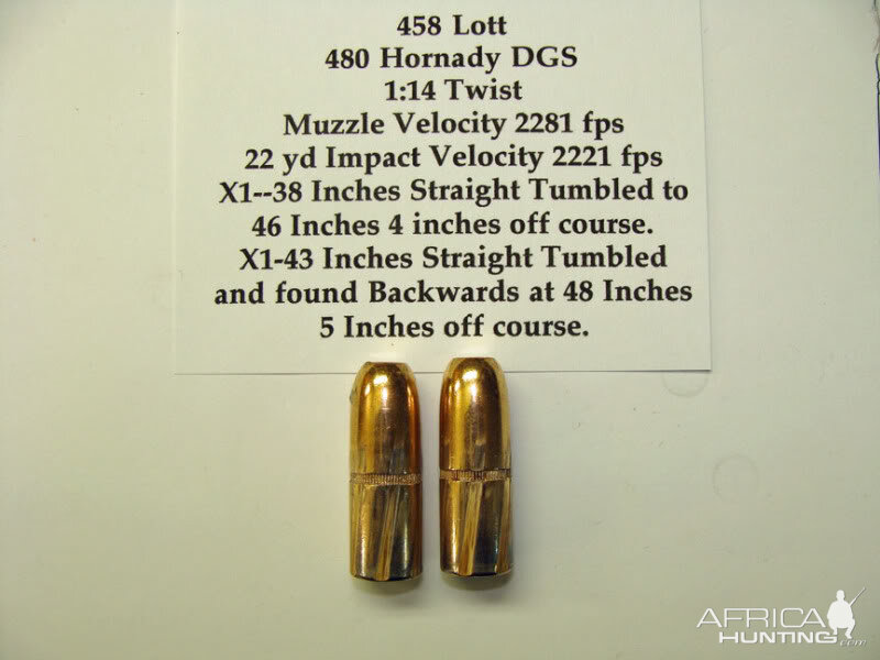 458 Hornady DGS