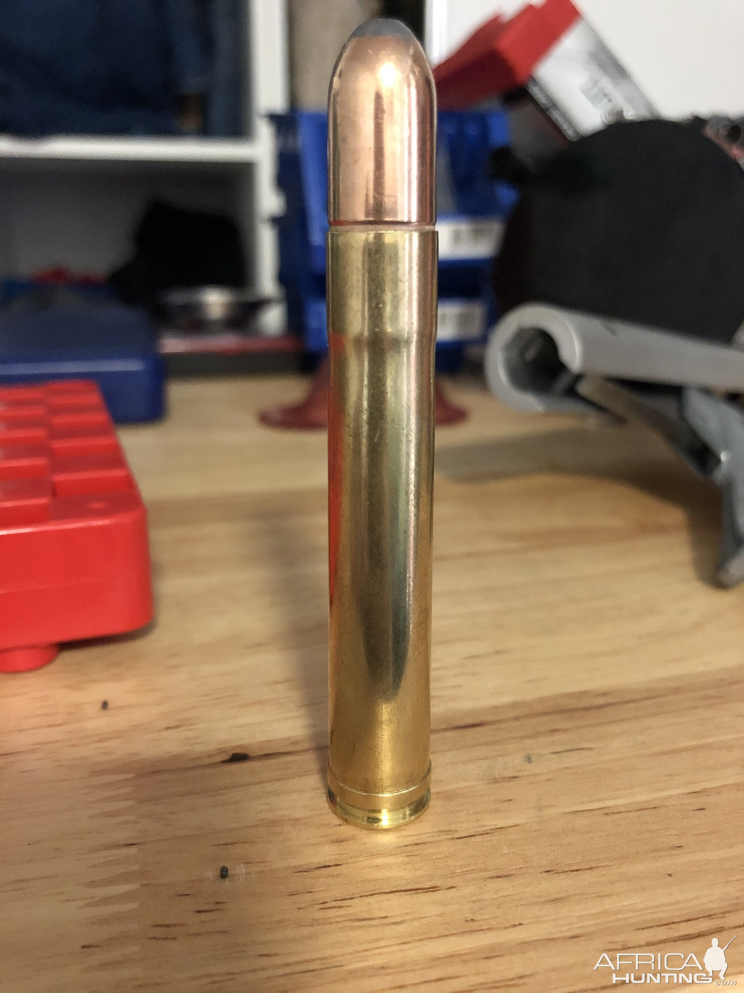 458 Lott Ammo