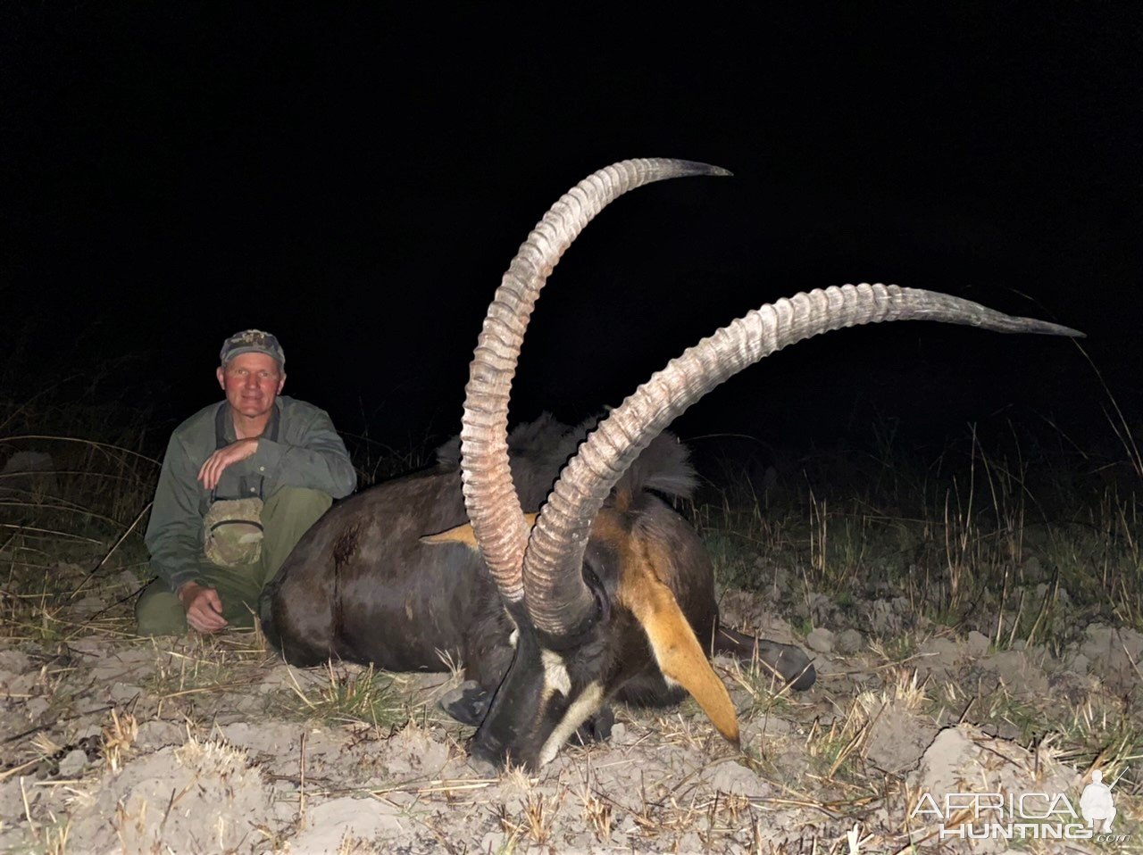 47.25 Inch Sable Hunt Zambia