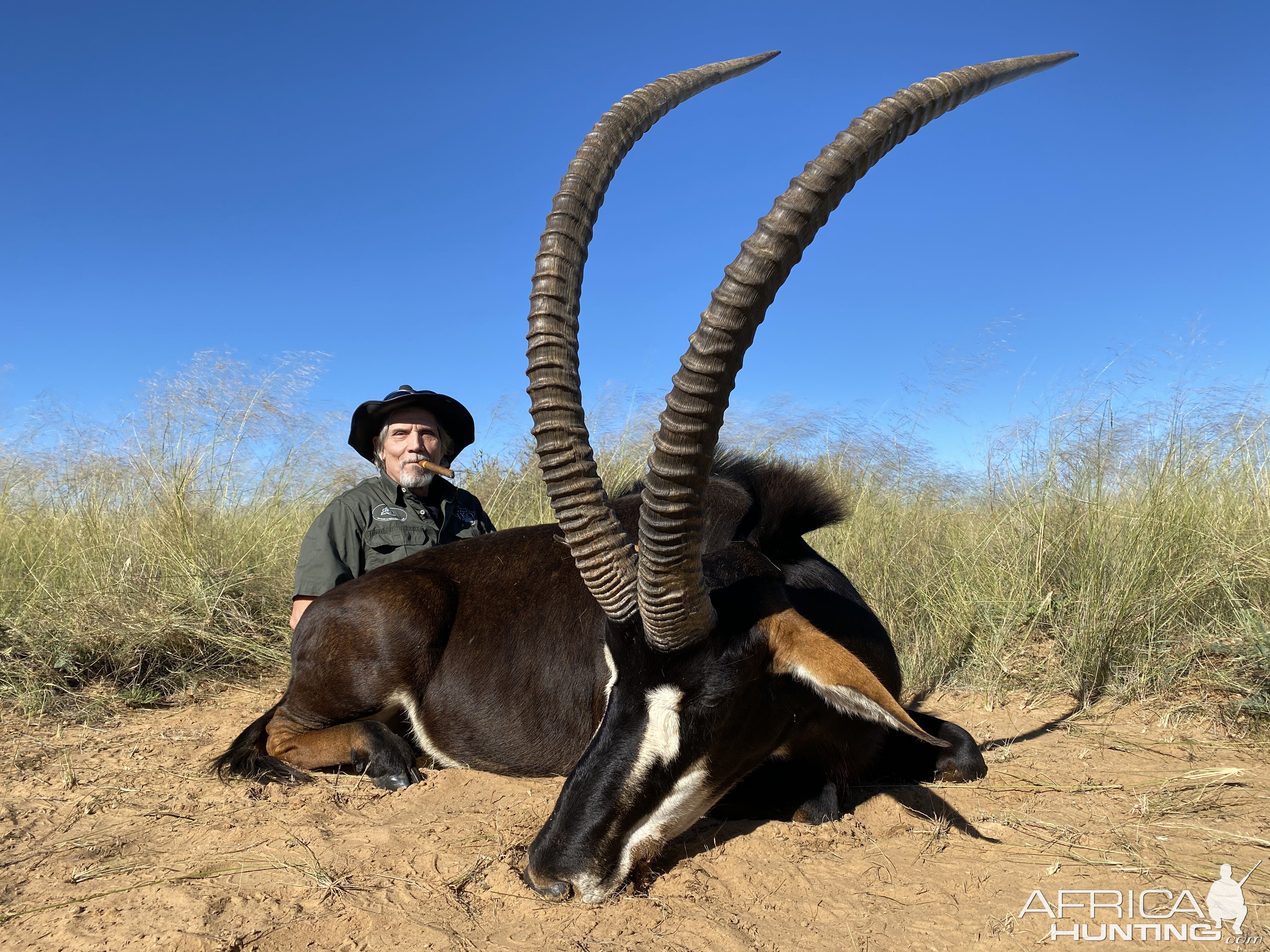 47 Inch Sable Hunt