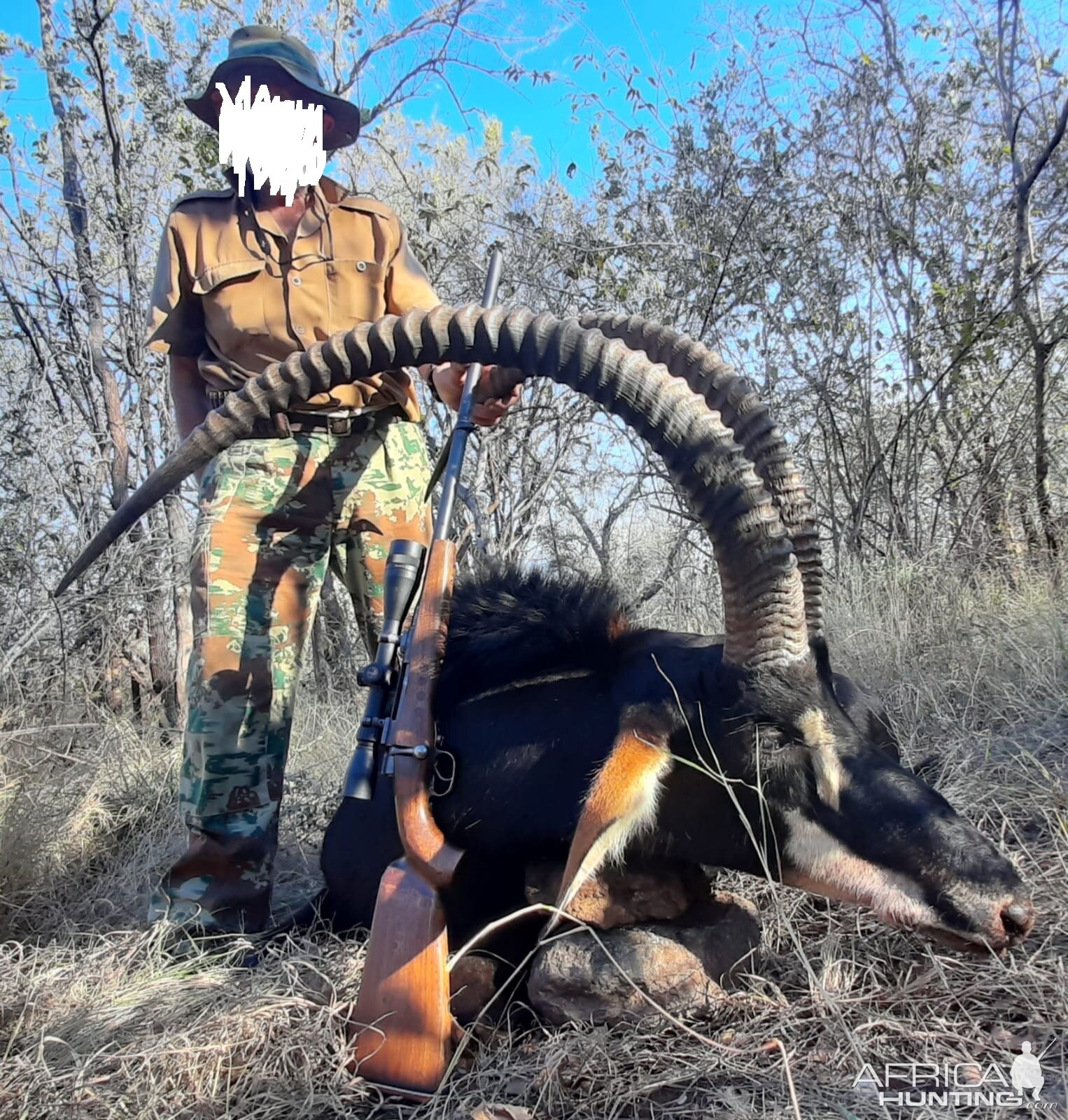 47 Inch Sable Hunt