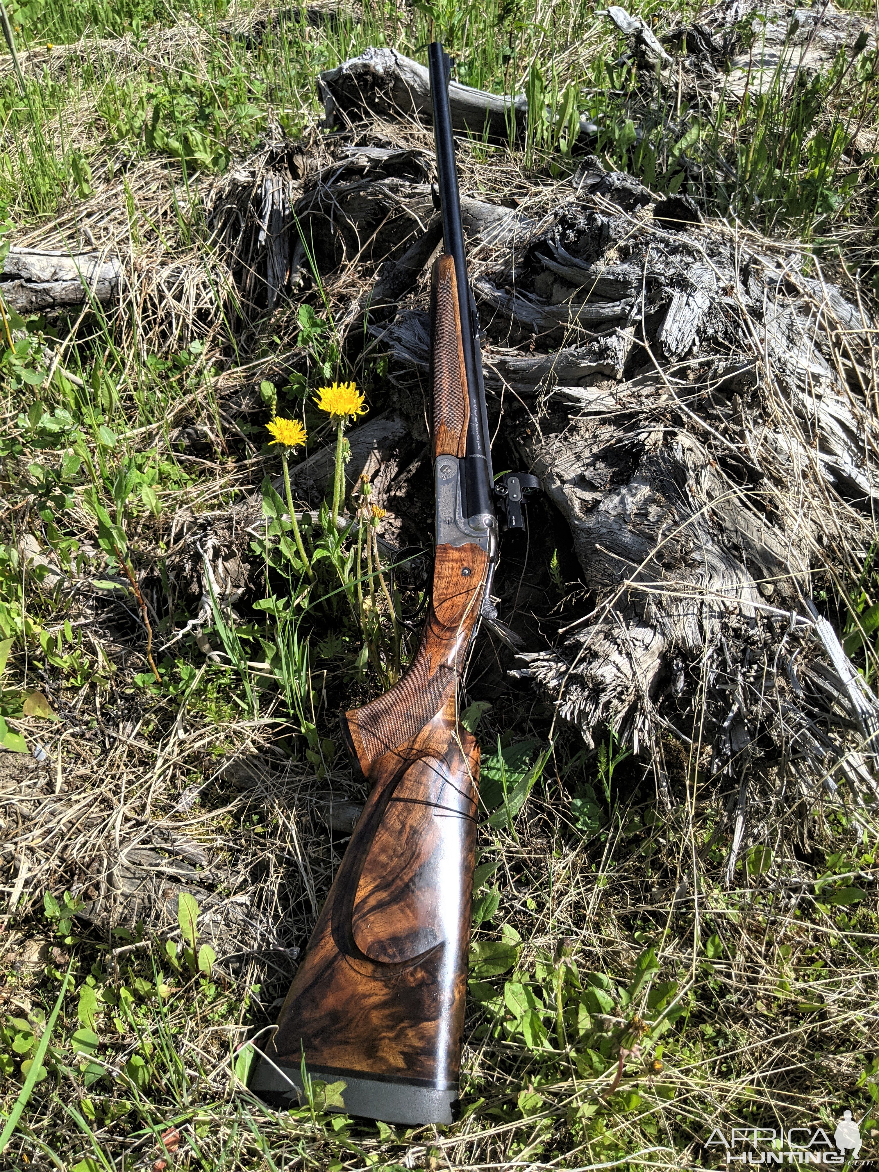 470 Double Rifle