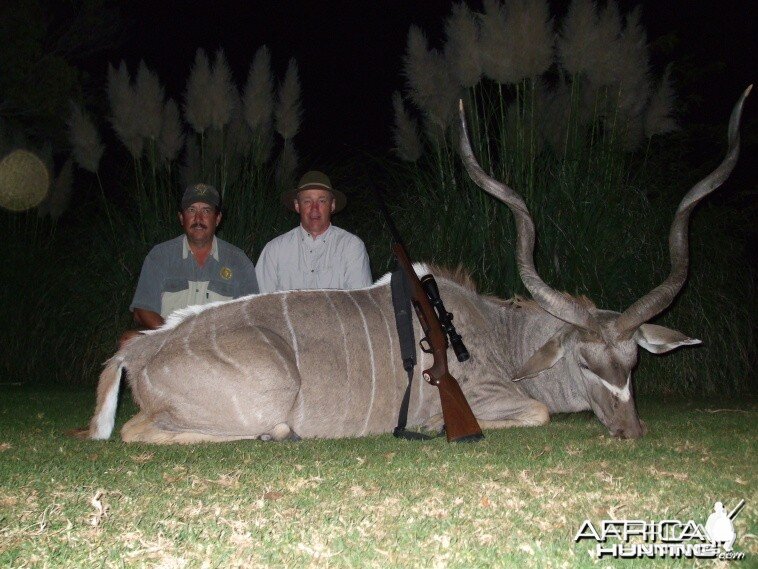 48 inch Cape Kudu