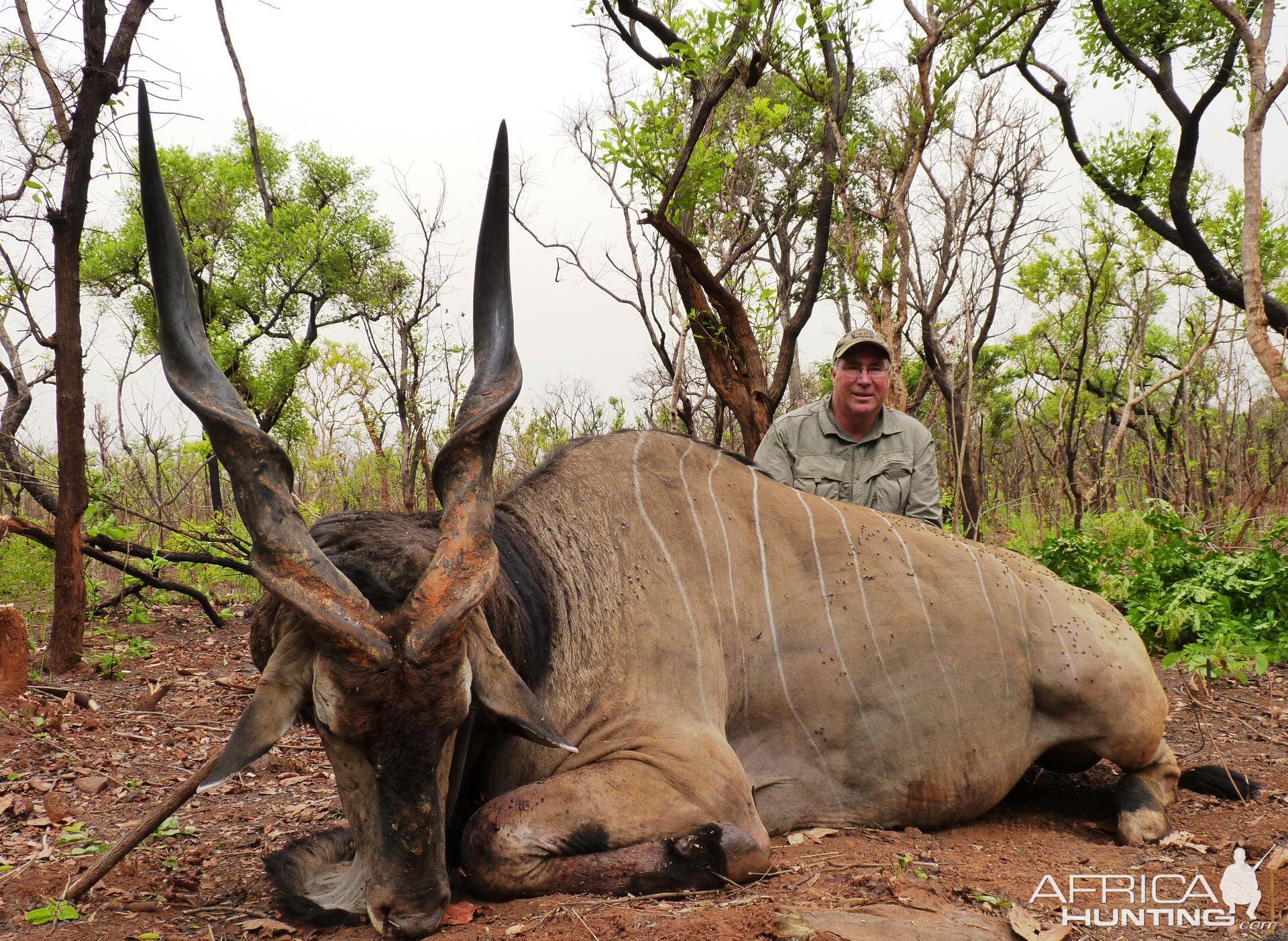 48 inch Lord Derby Eland hunted in CAR