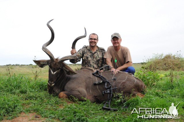 49.25 inches Eastern Cape Kudu Bull