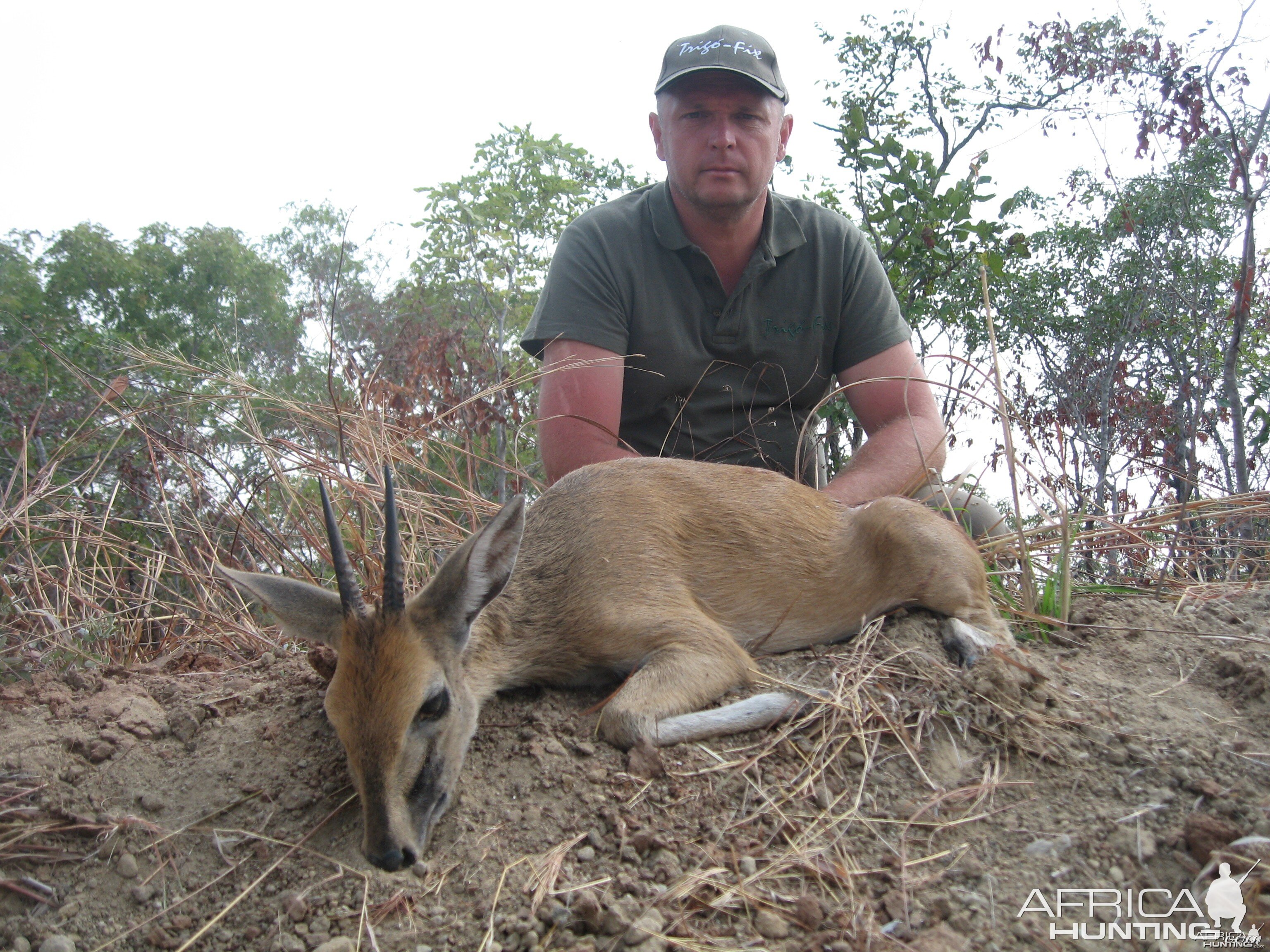 5 inch Bush Duiker hunted in Tanzania