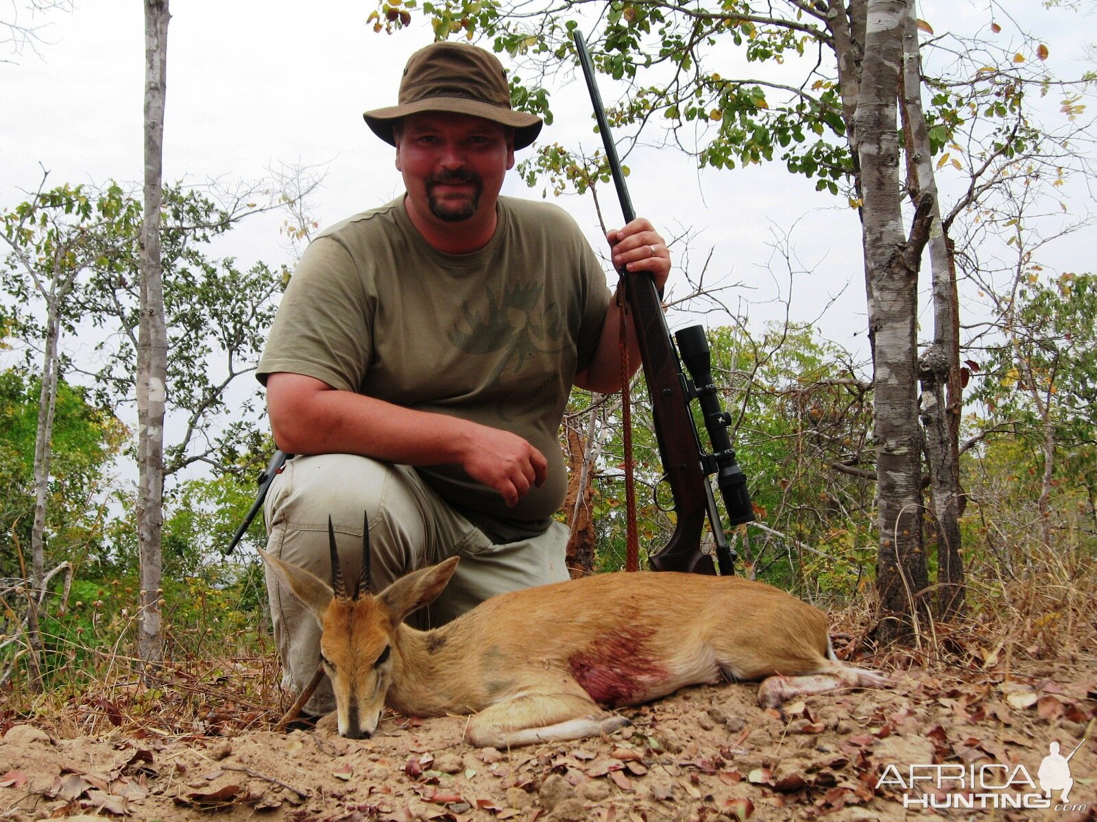 5 inch Eastern Bush Duiker