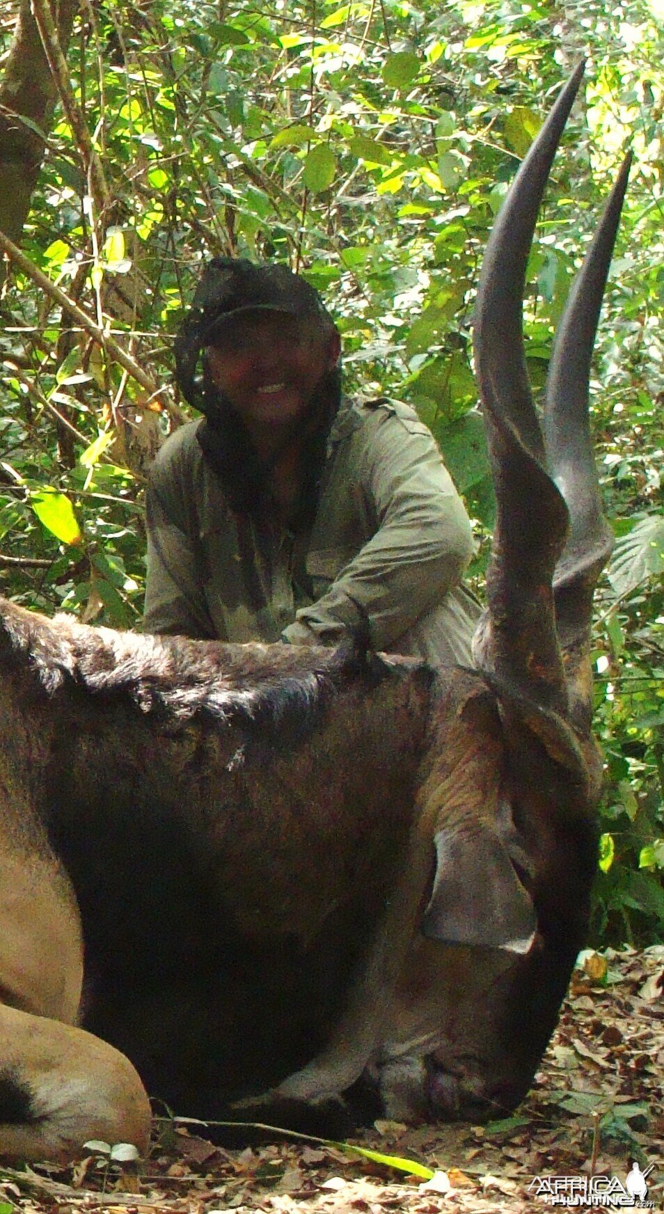 50 inch Eland hunted in CAR with Central African Wildlife Adventures