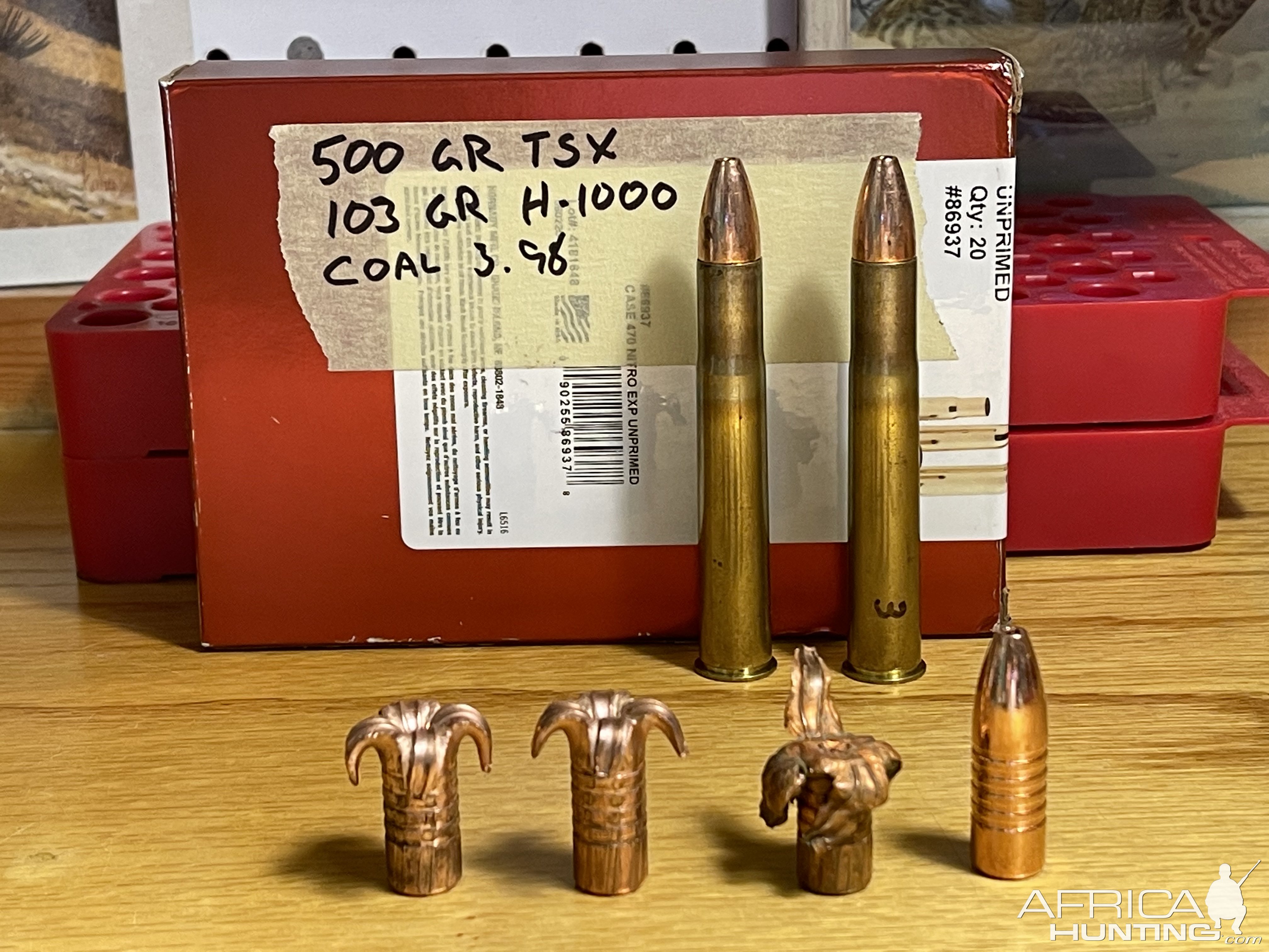 500 grain Barnes TSX Ammunition