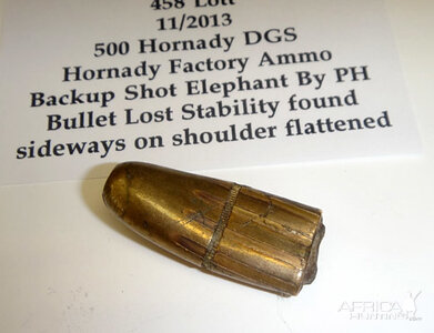 500 Hornady DGS