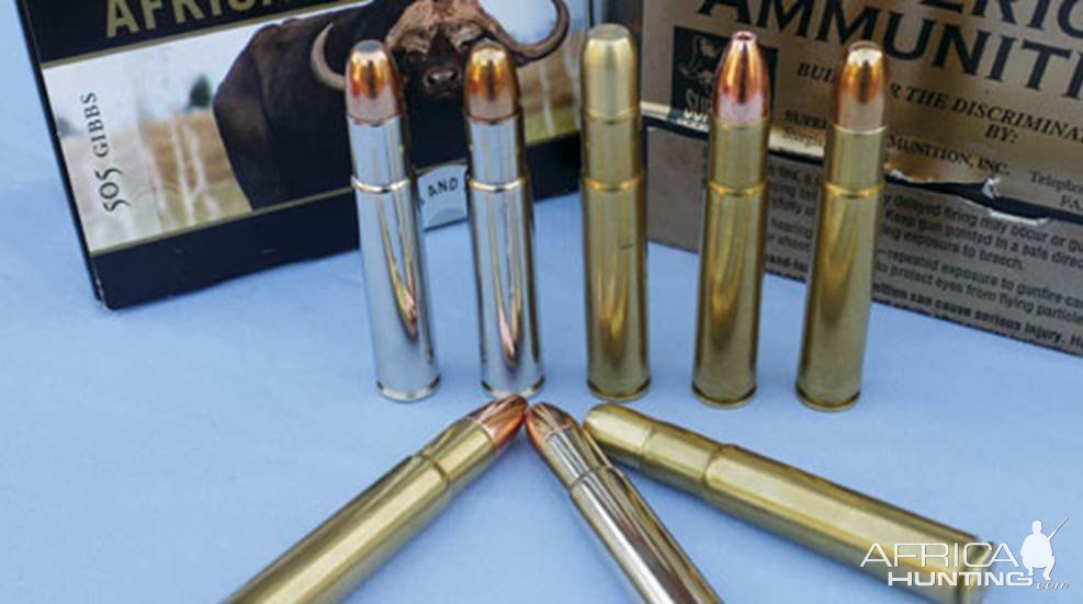 .505 Gibbs Ammunition