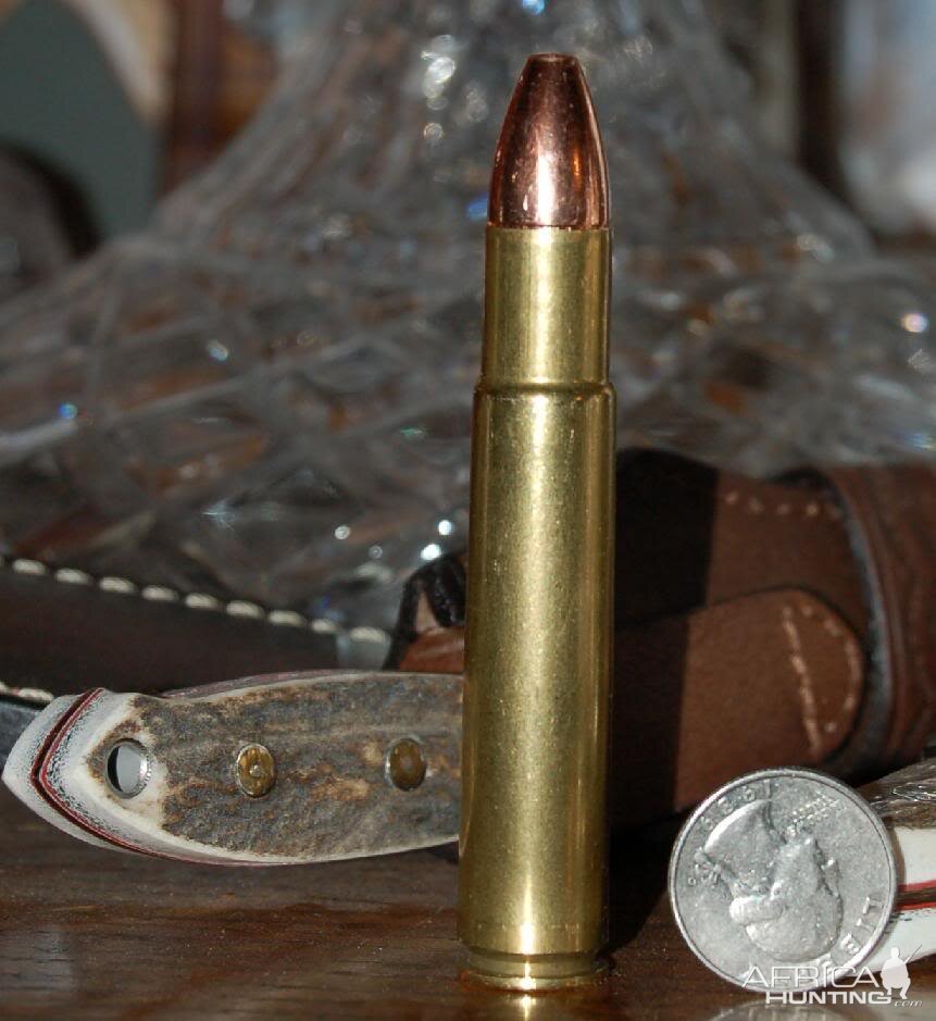 .505 Gibbs cartridge