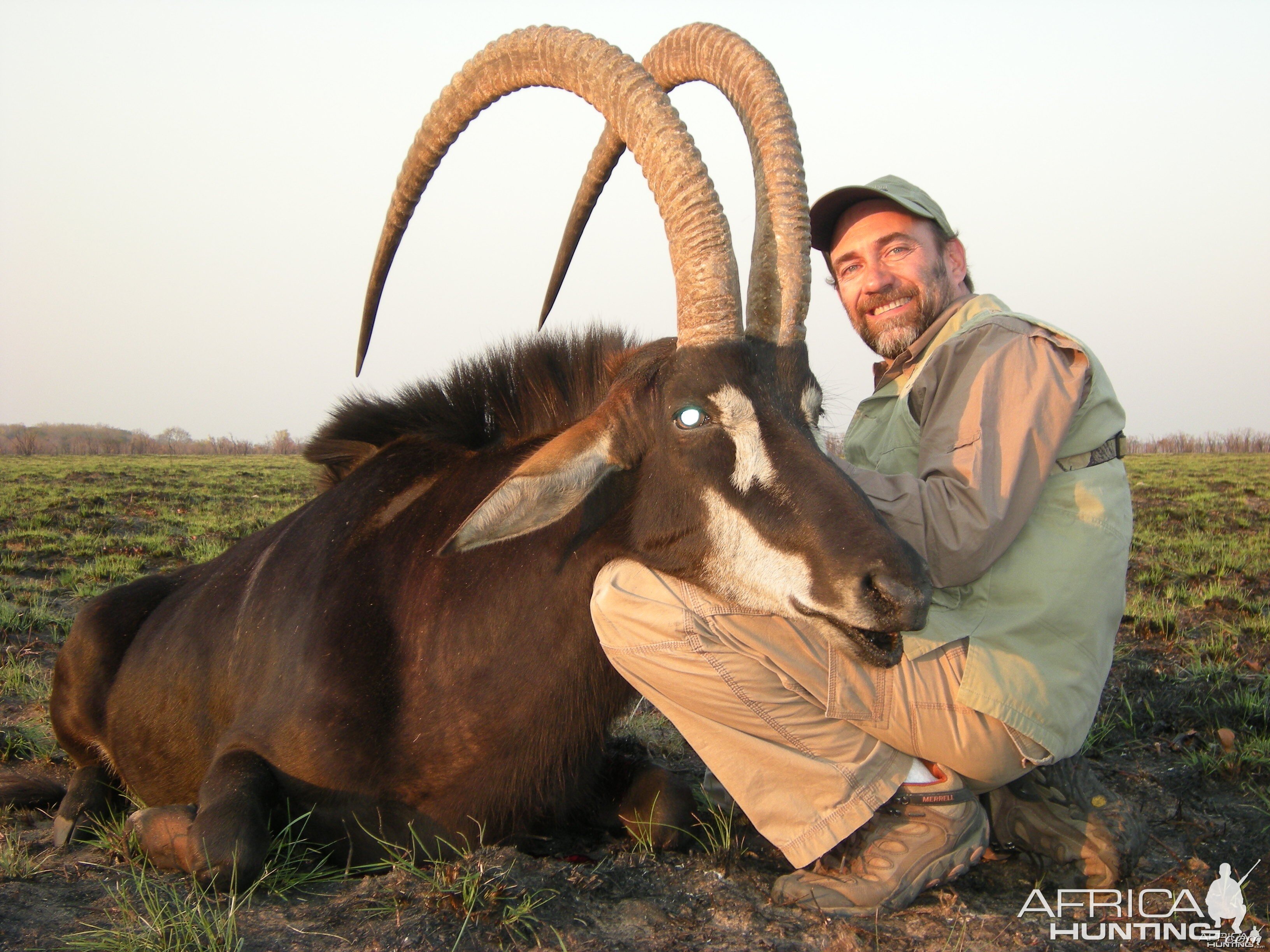 51 inch Sable - Wintershoek Johnny Vivier Safaris in South Africa