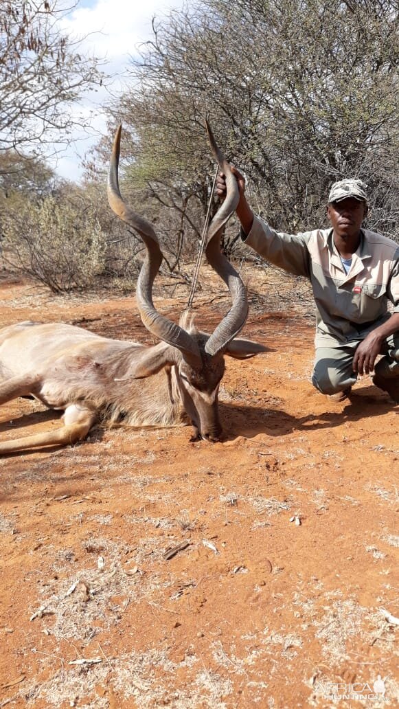 52" Inch Kudu Hunting South Africa