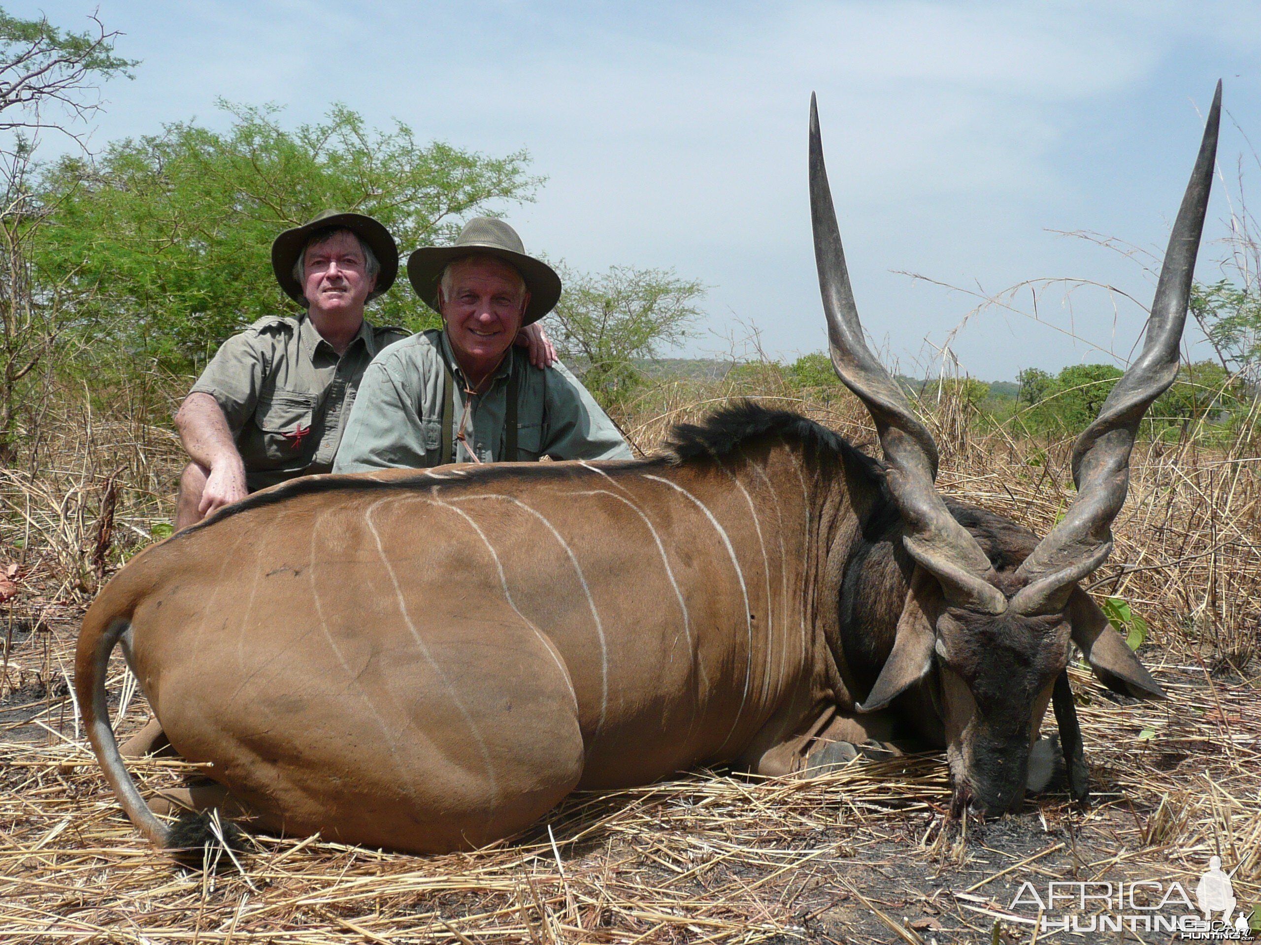 52 inch Lord Derby eland hunted in CAR with PH Rudy Lubin