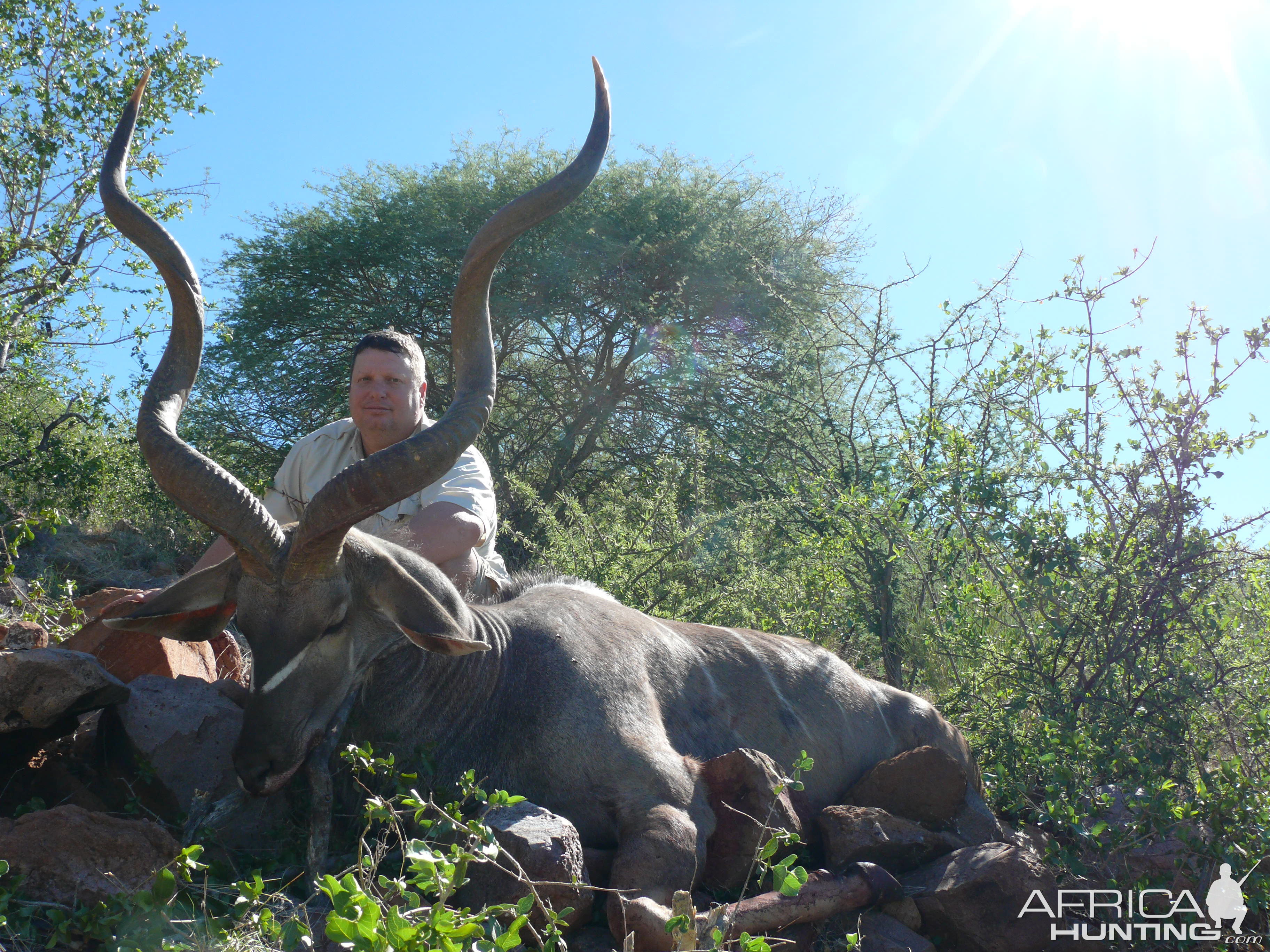 54" Greater Kudu Bull