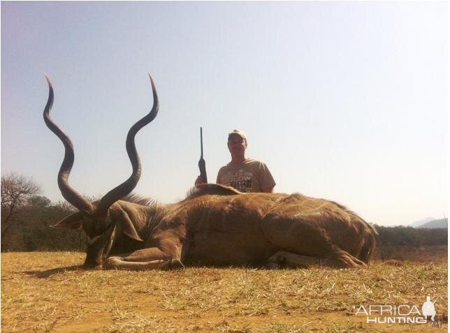 55.5 inch Kudu Hunted in South Africa Limpopo Province