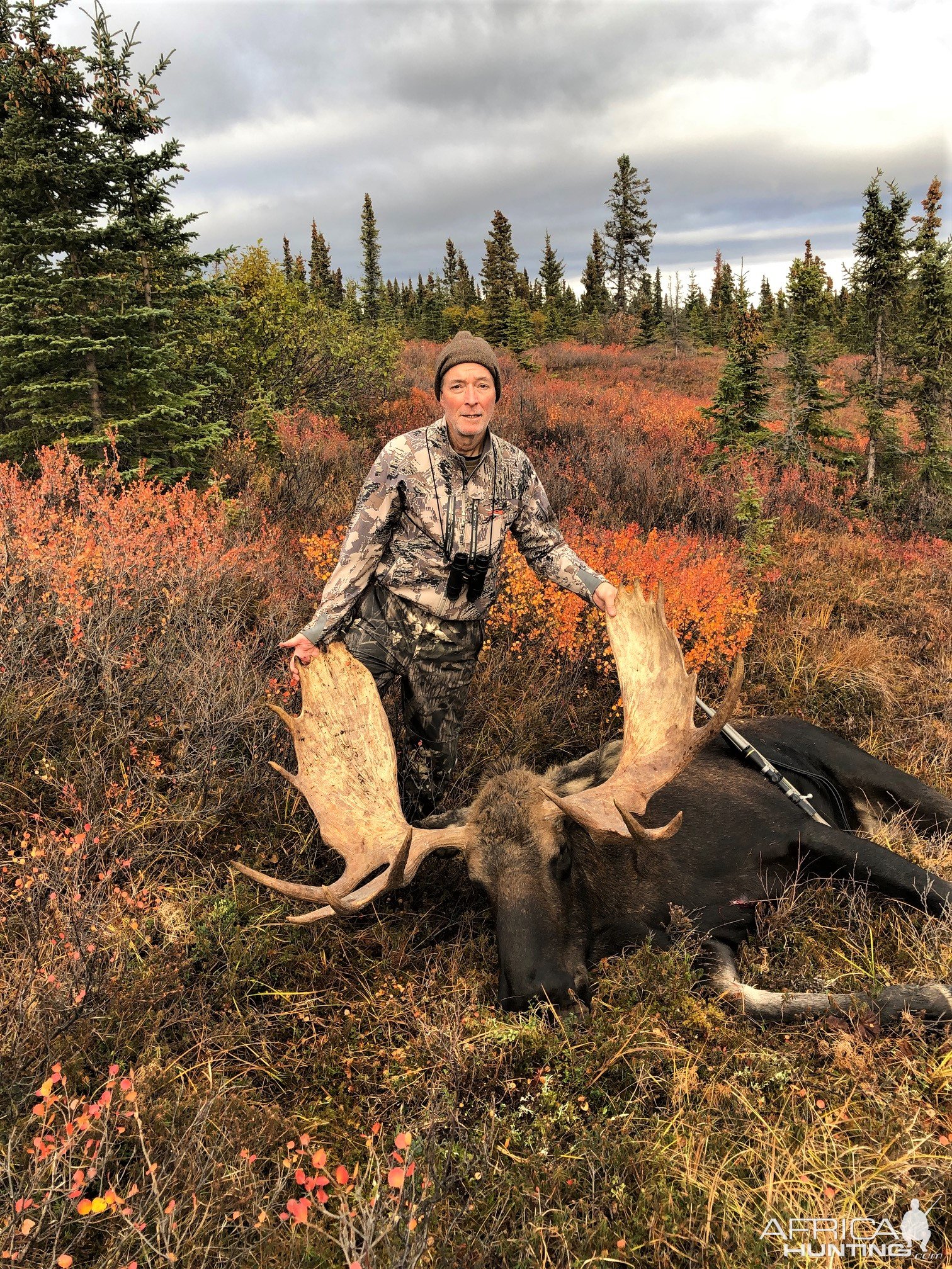 55 Inch Moose Hunt Alaska