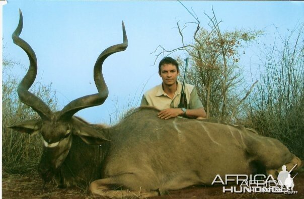 56 inch Southern Greater Kudu