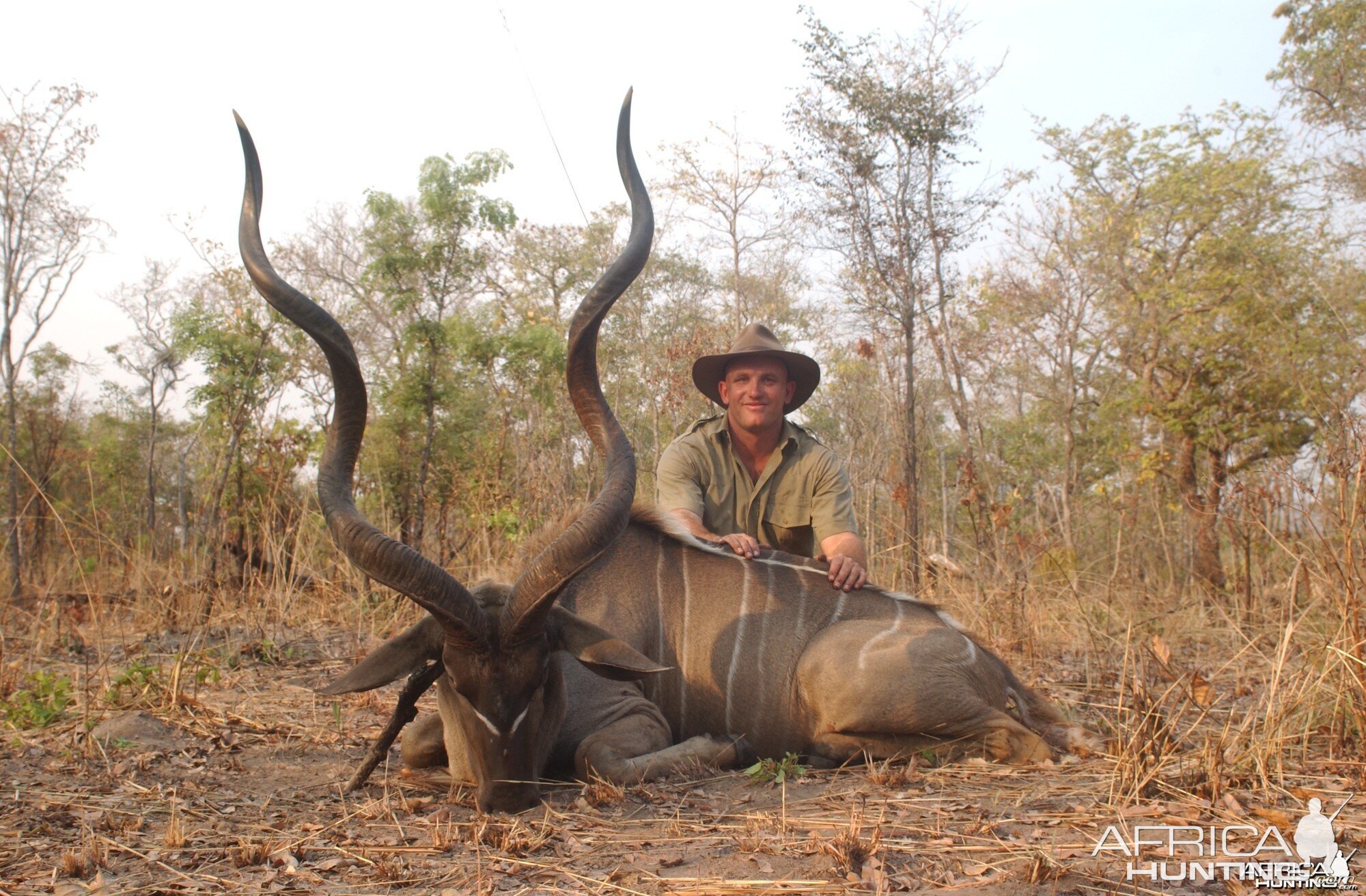 58" East African Kudu