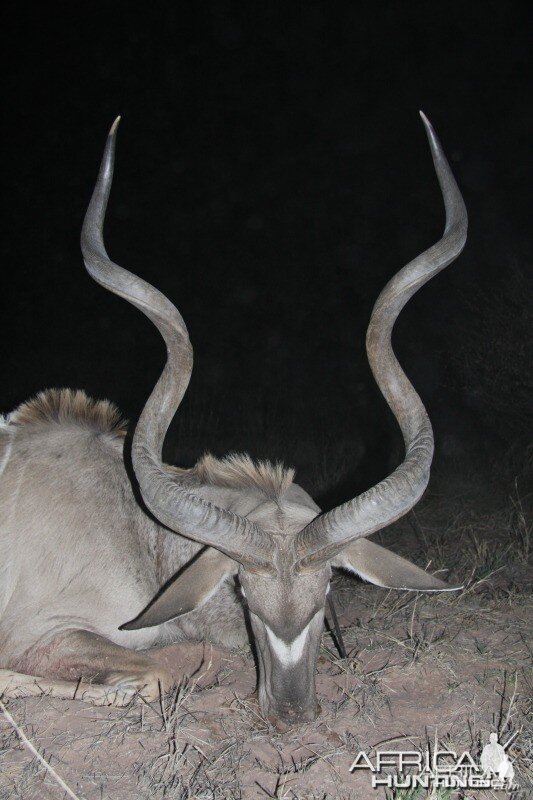 59 inch Kudu hunted in Namibia