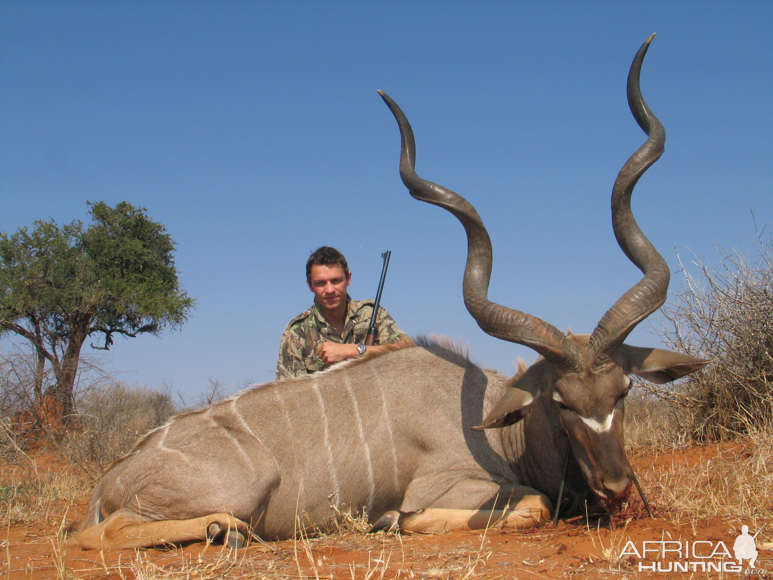 59inch Southern Greater Kudu