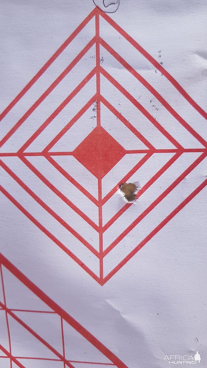 60 gr Rhino 25.8gr CFE 223. Range Shots